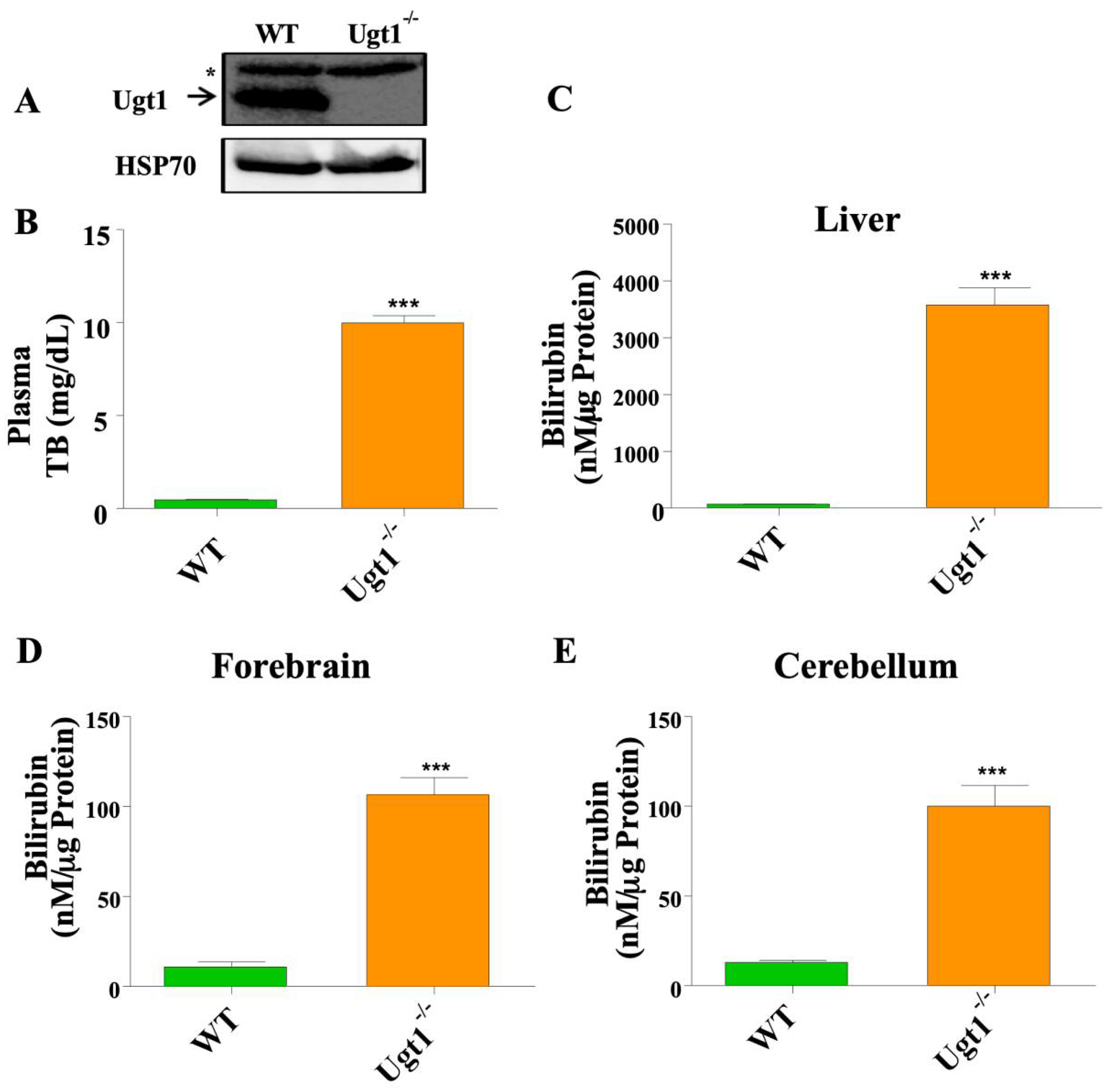 Ijms 23 10703 g001 Ijms 23 10703 g001