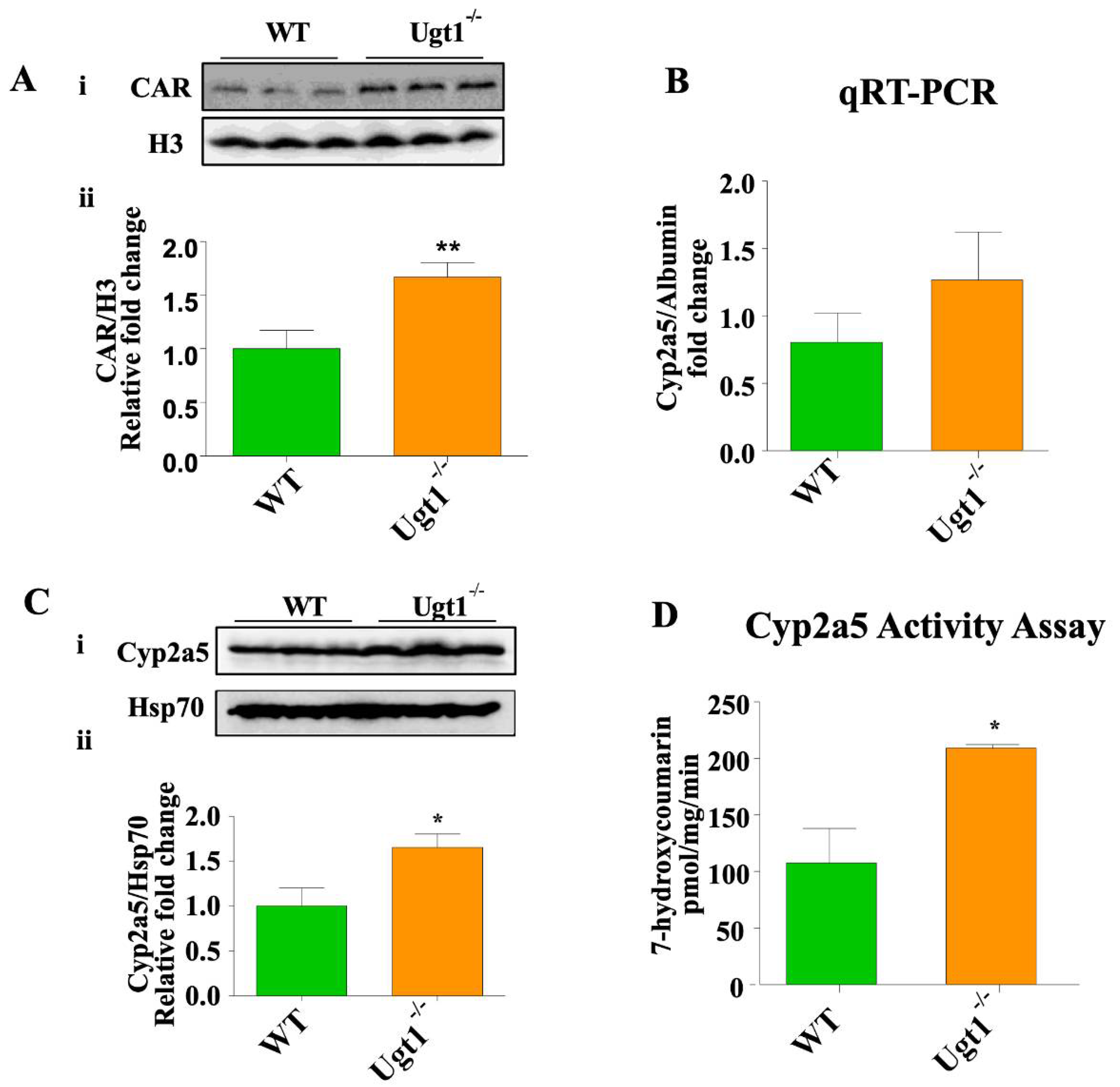 Ijms 23 10703 g002 Ijms 23 10703 g002