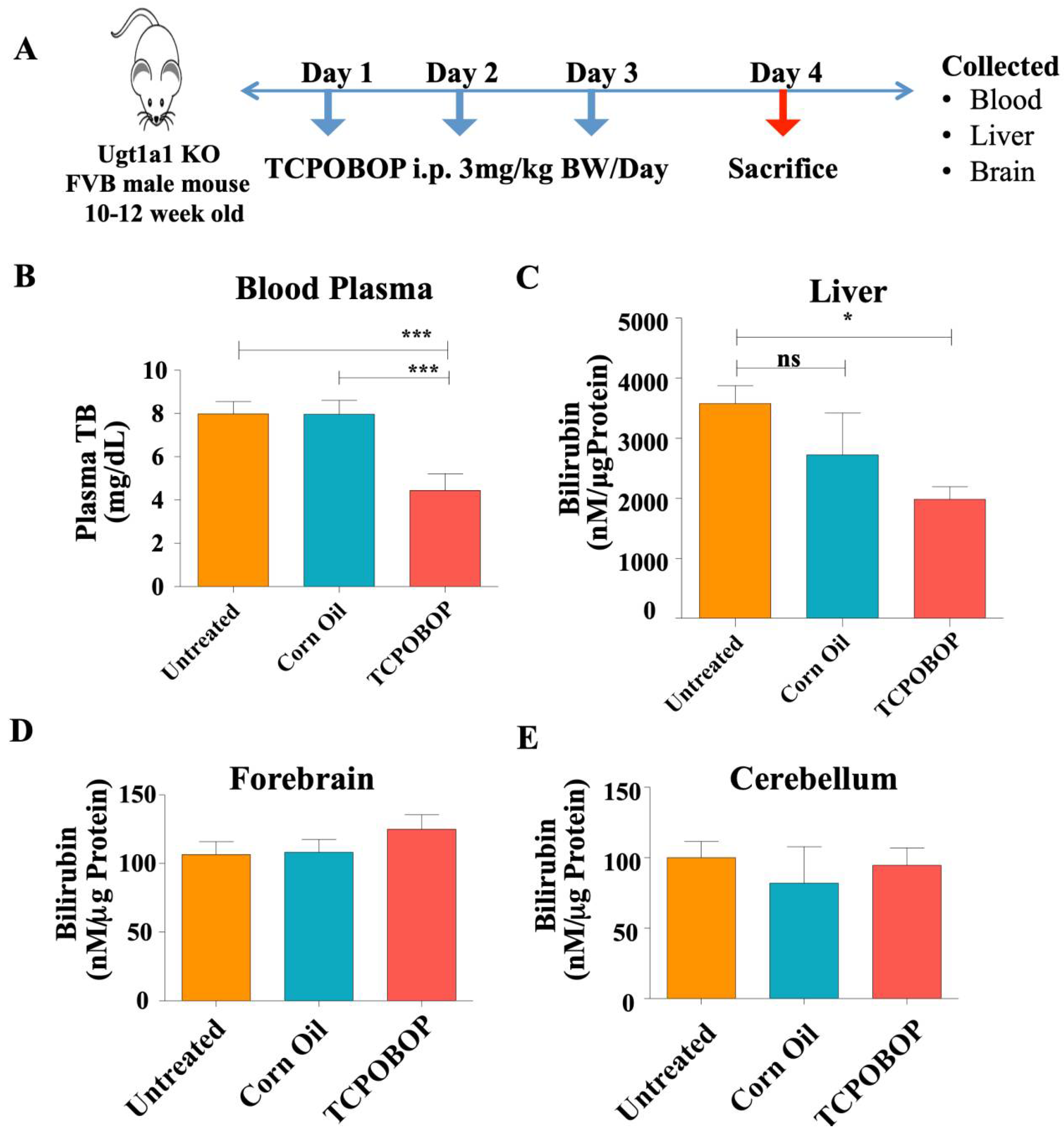 Ijms 23 10703 g003 Ijms 23 10703 g003
