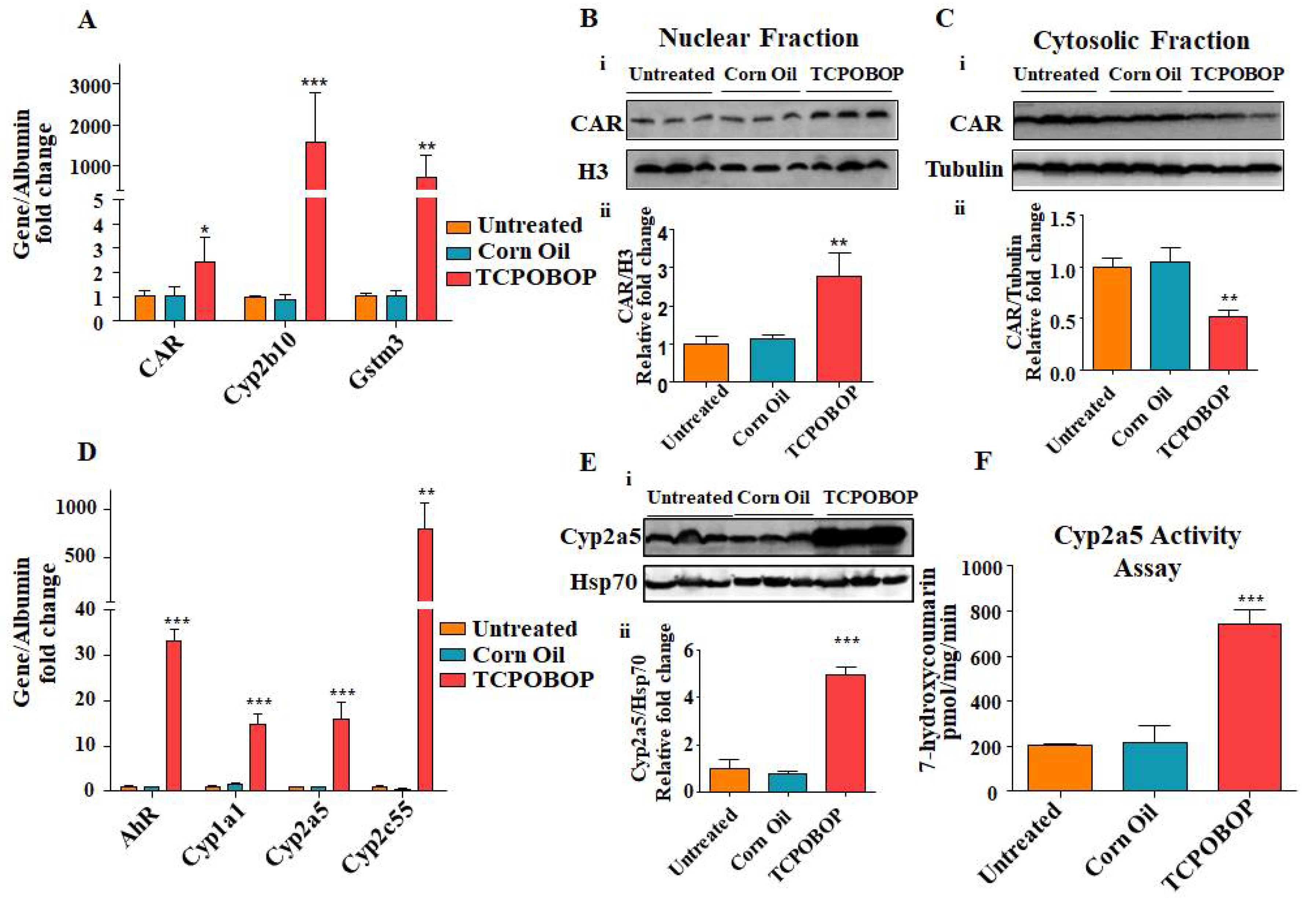 Ijms 23 10703 g004 Ijms 23 10703 g004
