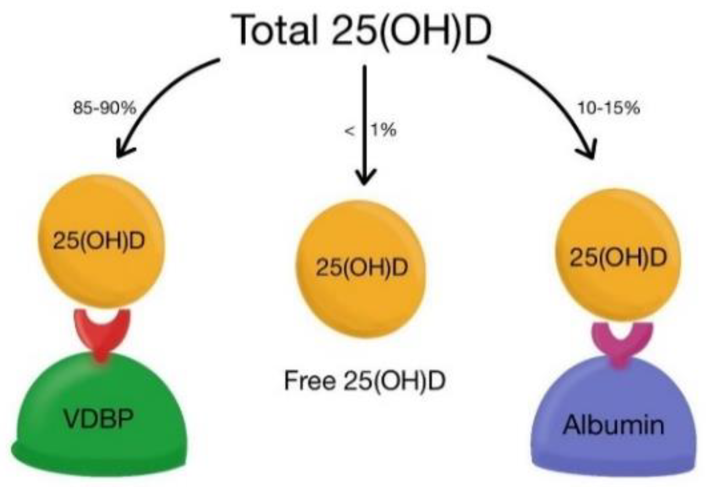 Ijms 23 10705 g003 550