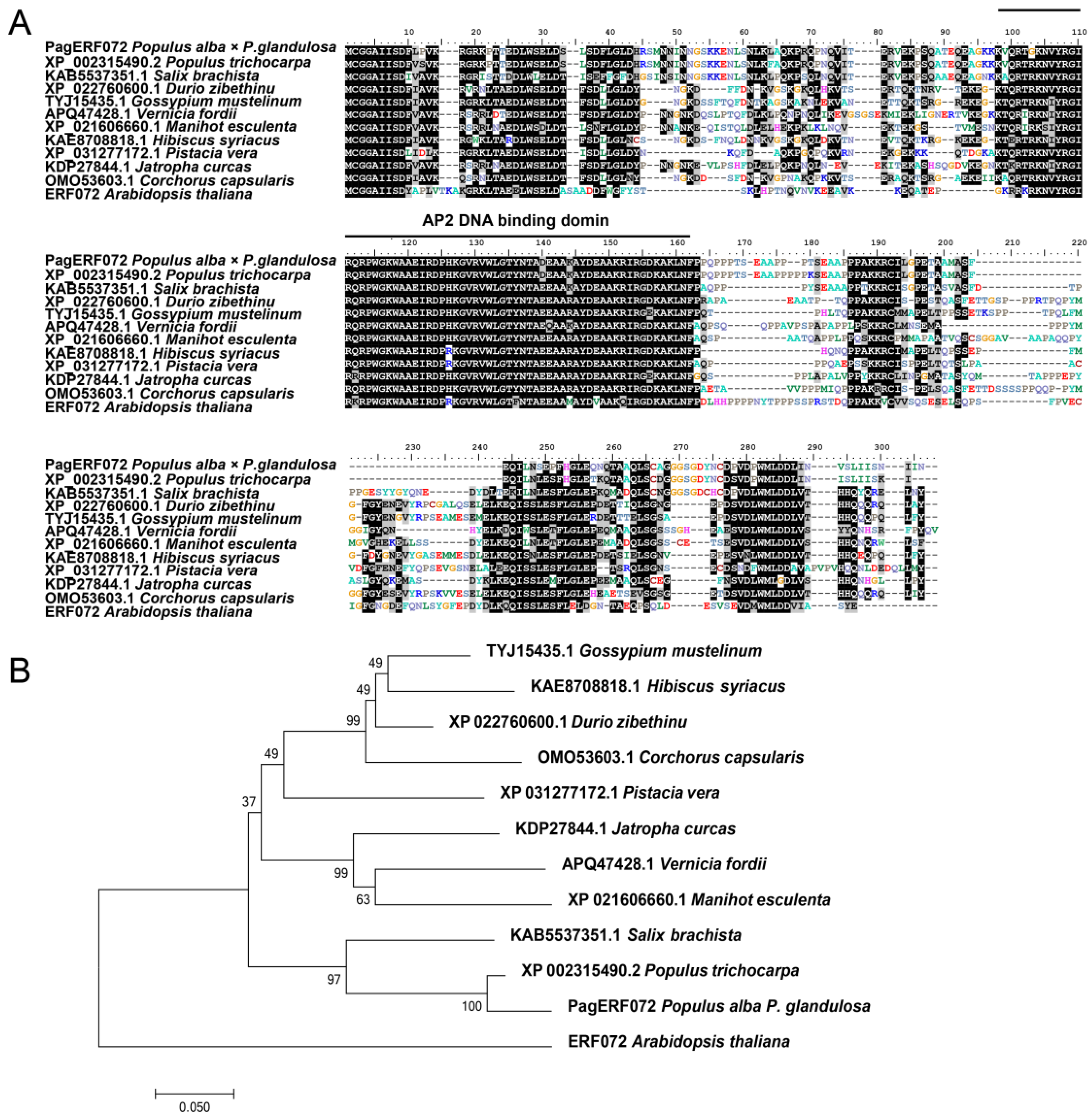 Ijms 23 10707 g002 550