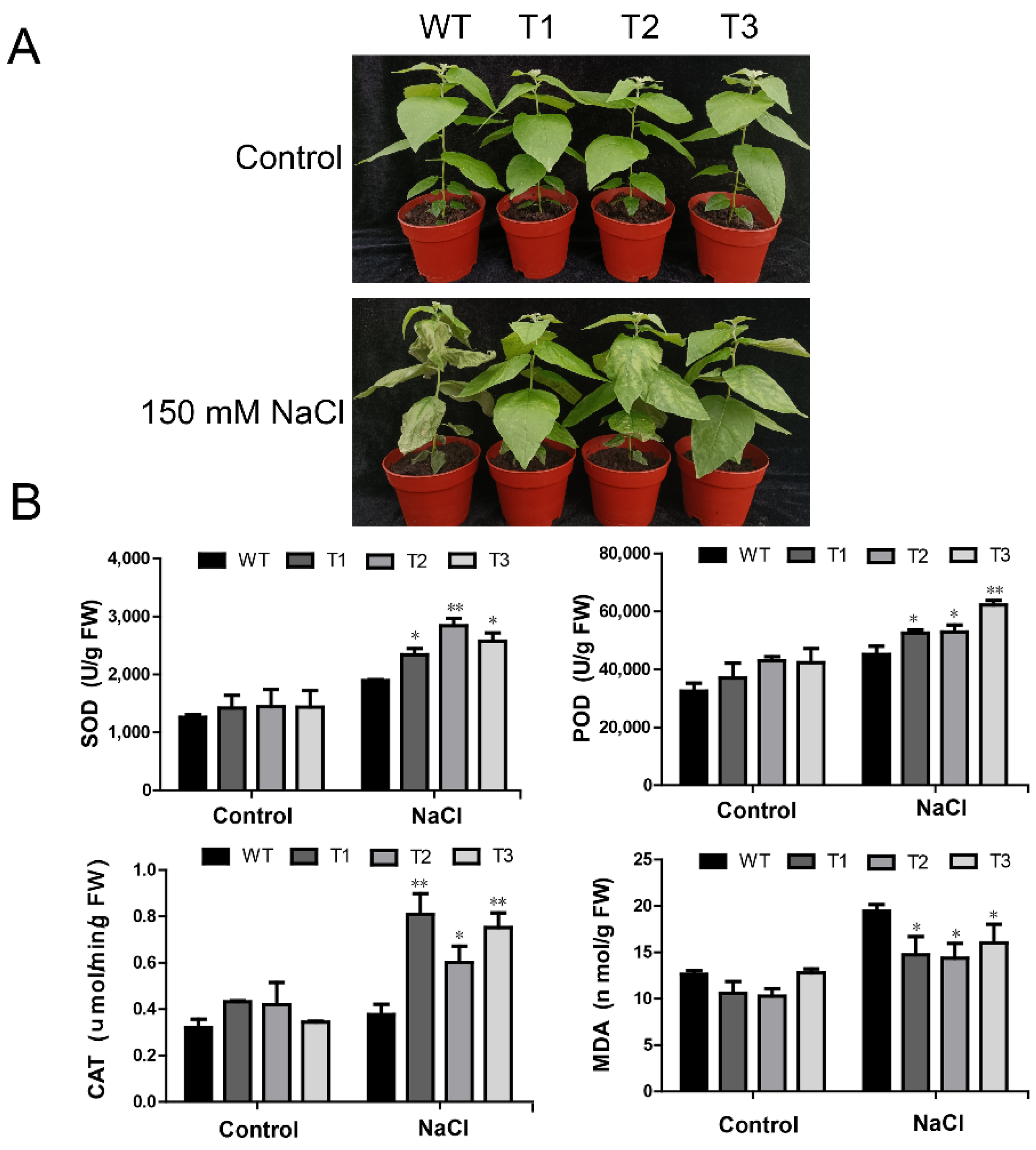 Ijms 23 10707 g007 550