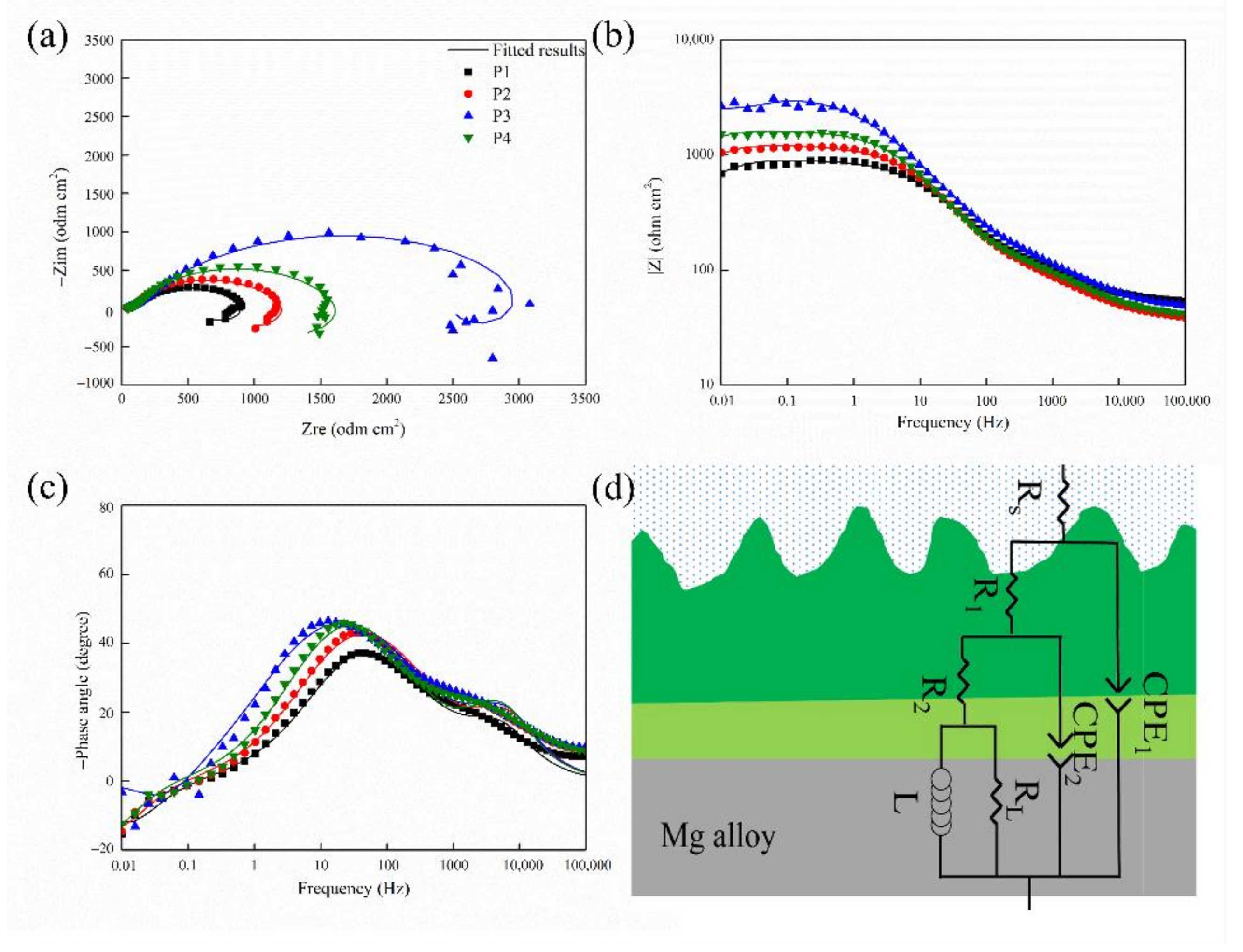 Ijms 23 10708 g004 550