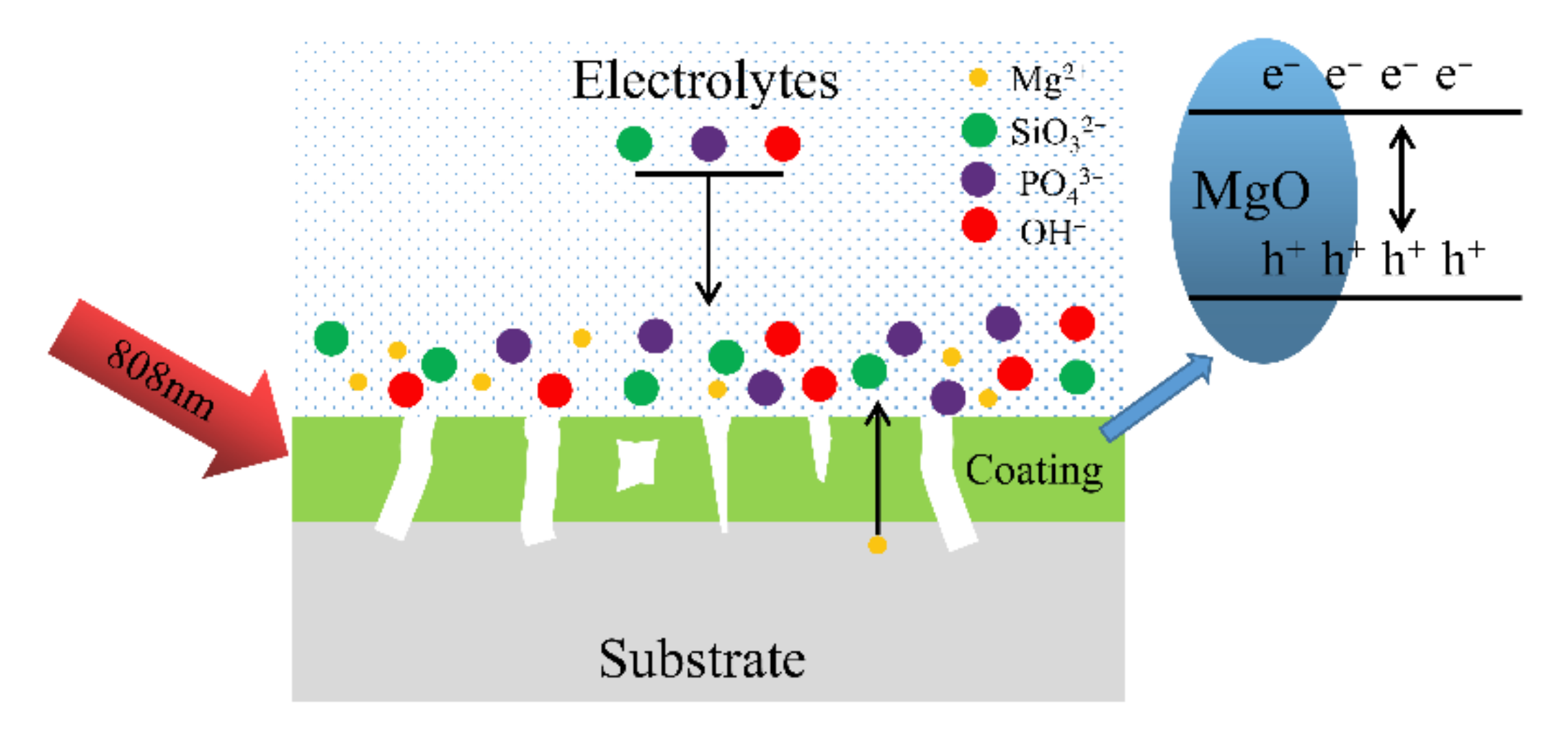 Ijms 23 10708 g010 550