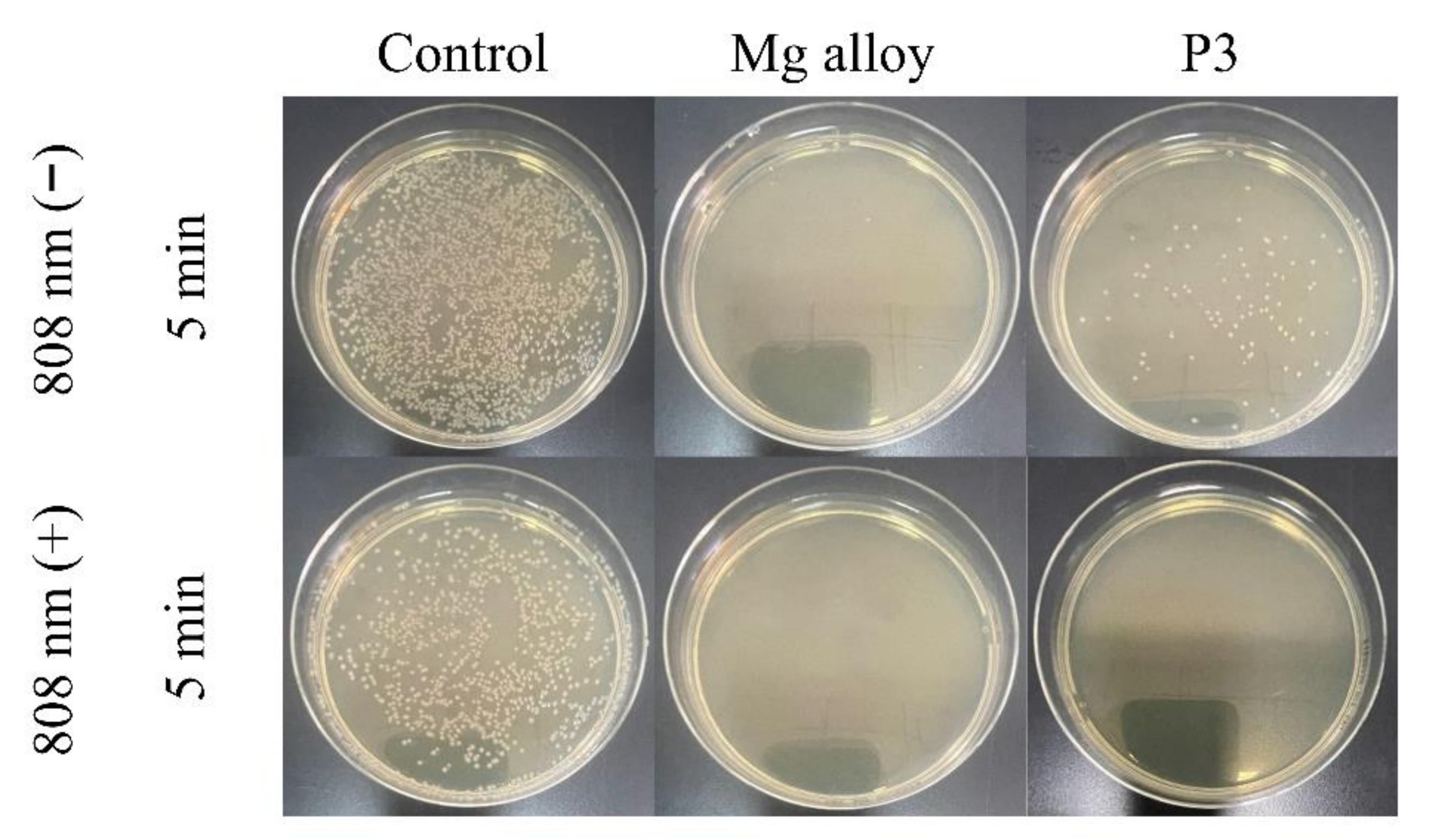 Ijms 23 10708 g012 550