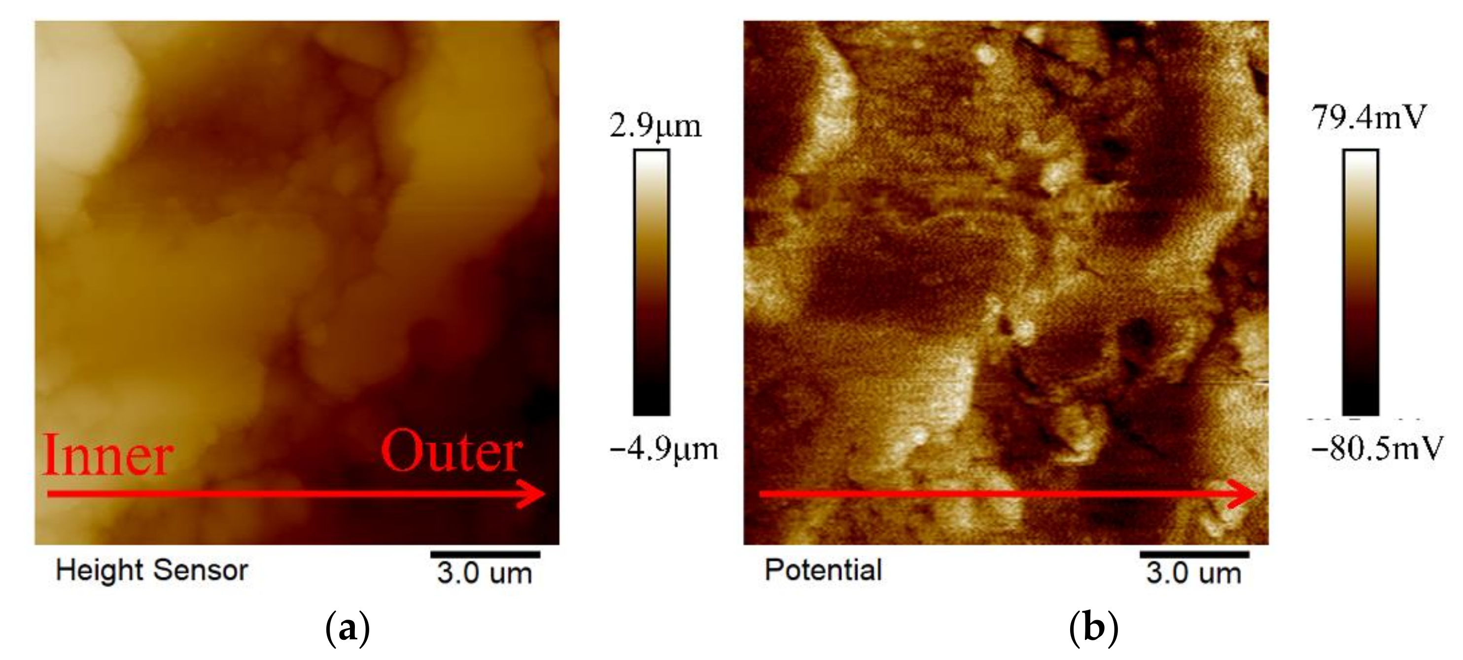 Ijms 23 10708 g013 550