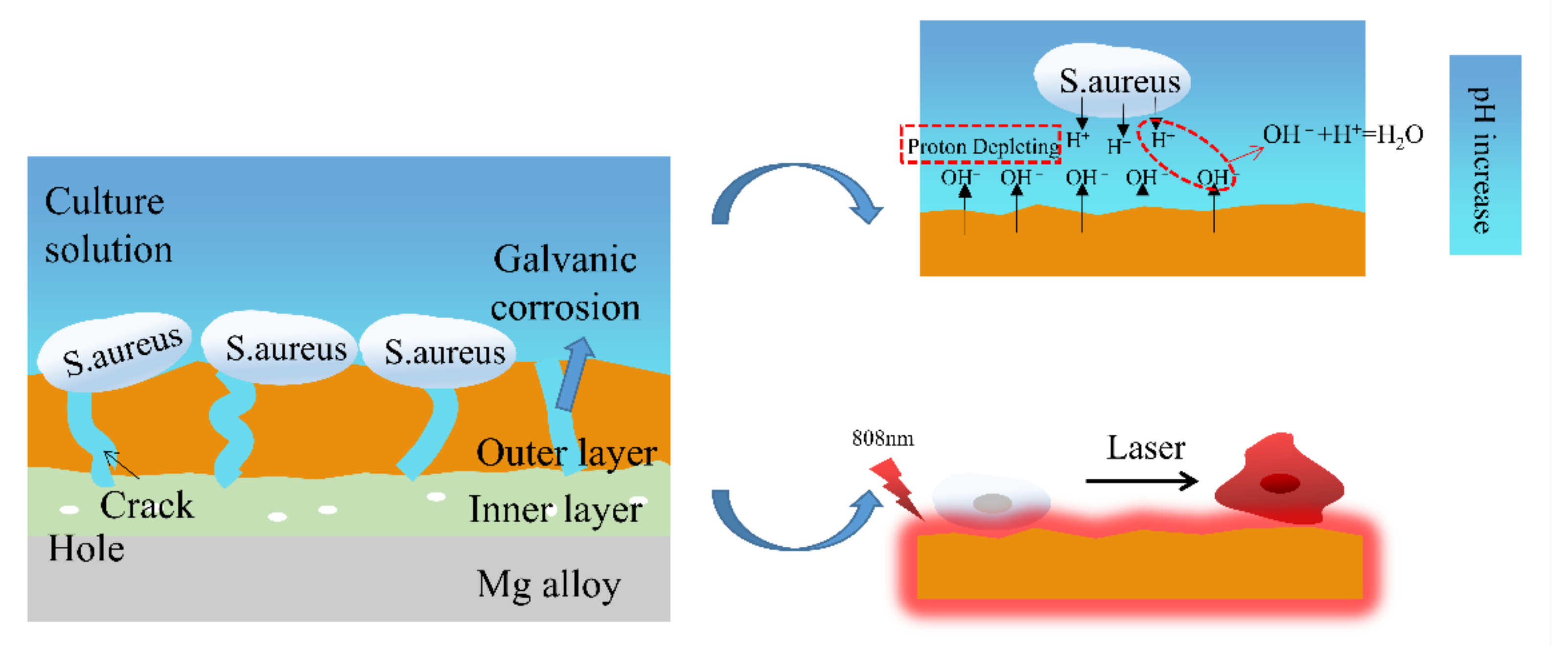 Ijms 23 10708 g014 550