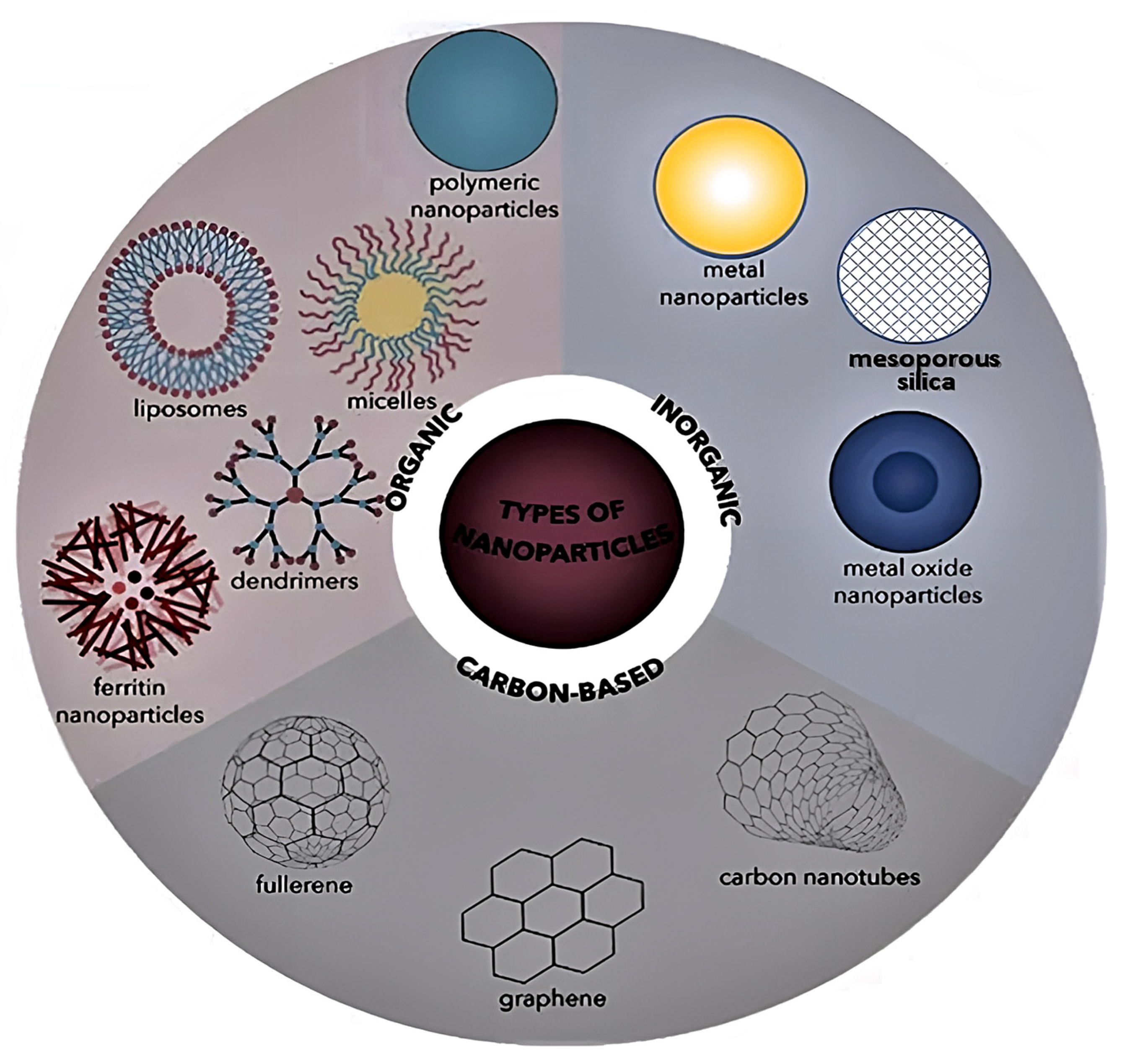 Ijms 23 10712 g001 550