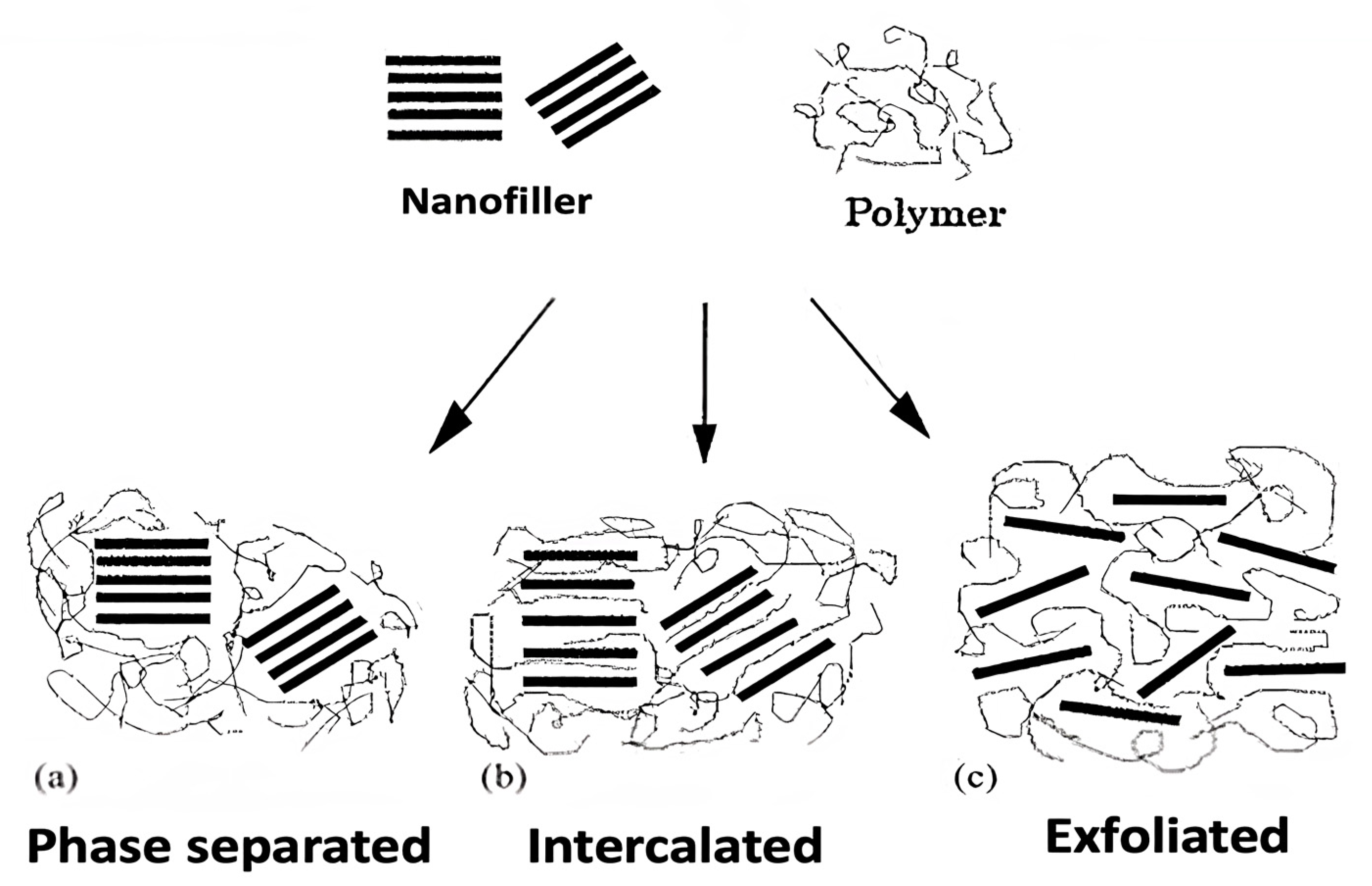 Ijms 23 10712 g002 550
