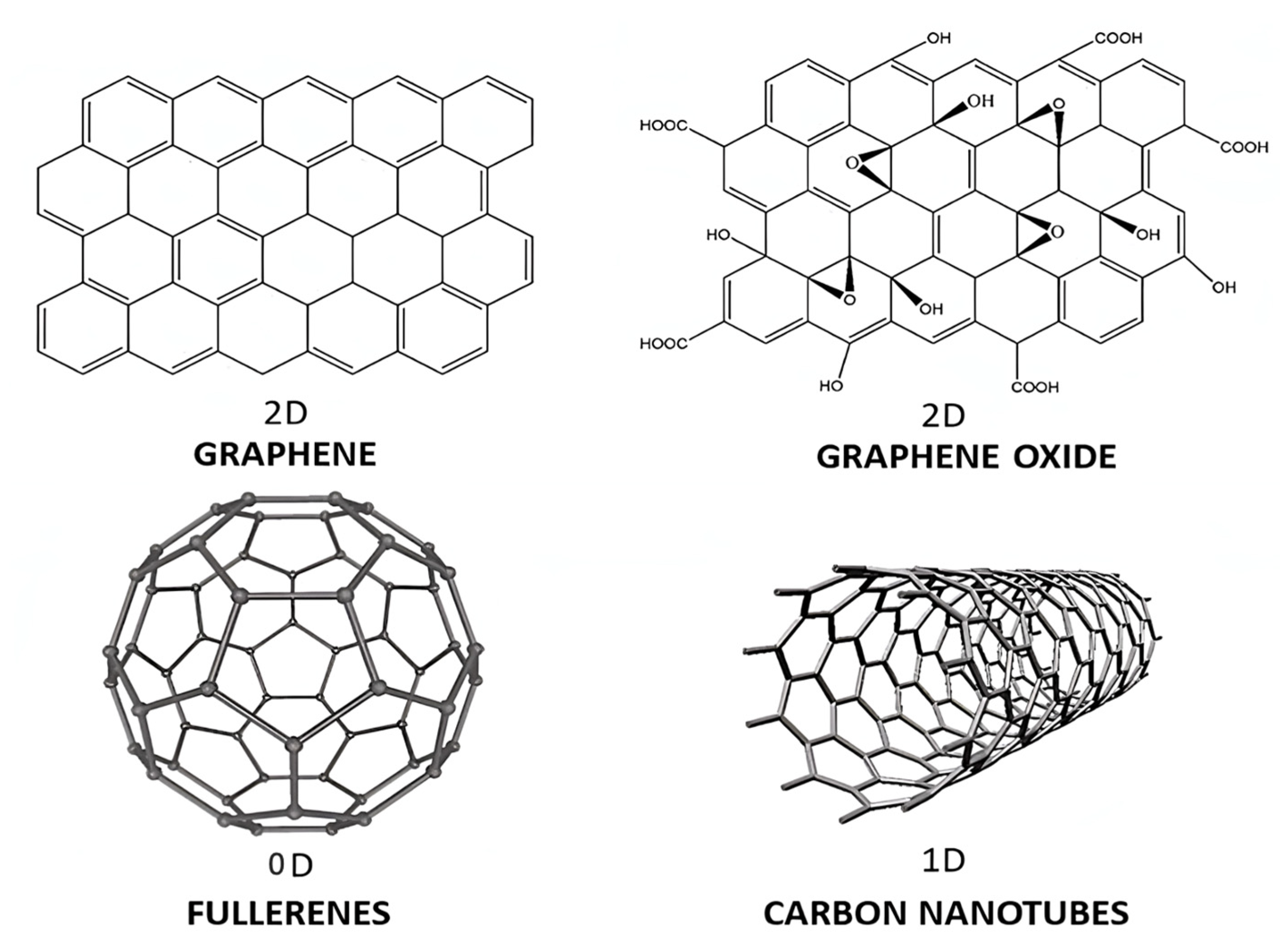 Ijms 23 10712 g004 550