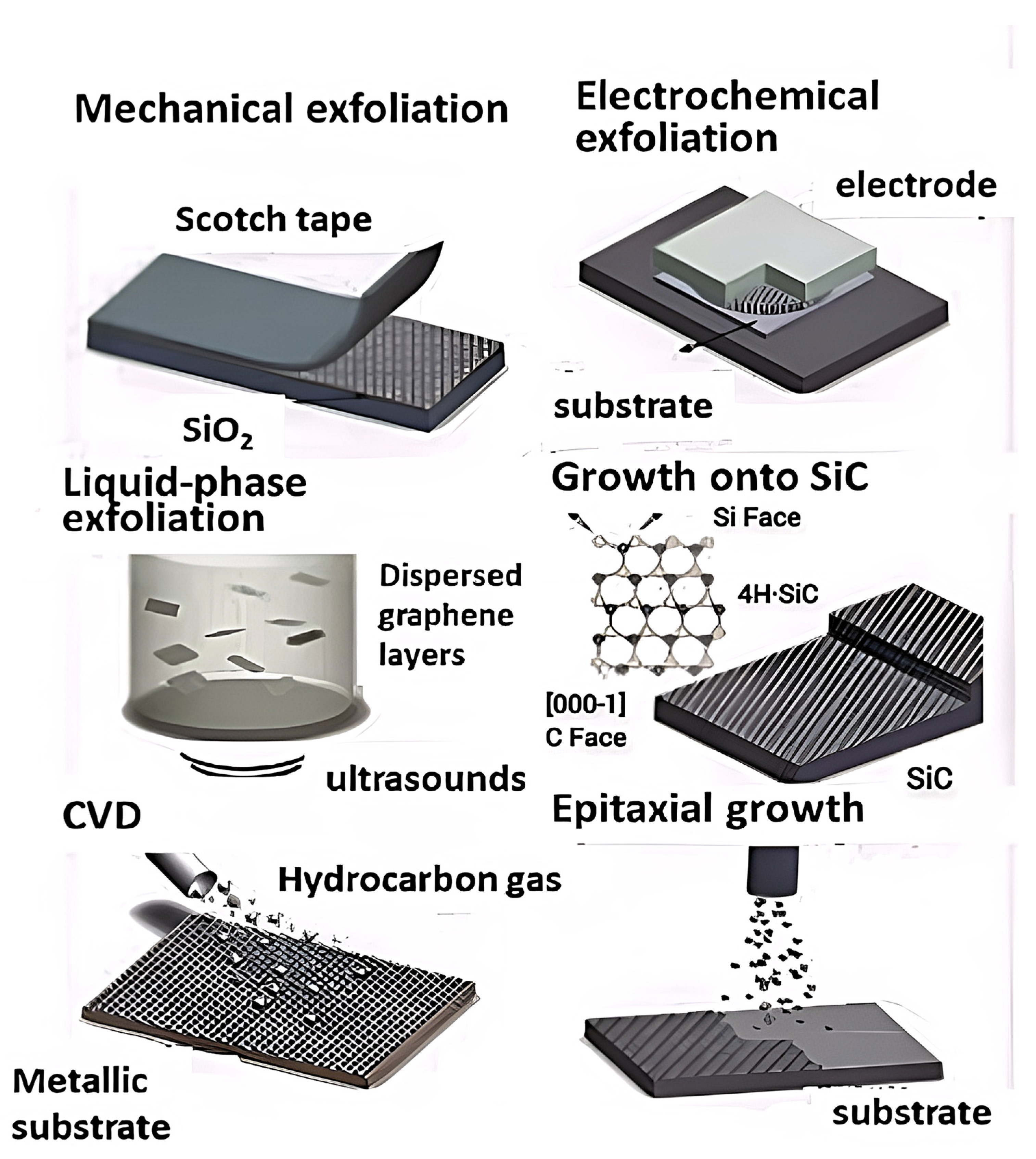 Ijms 23 10712 g006 550