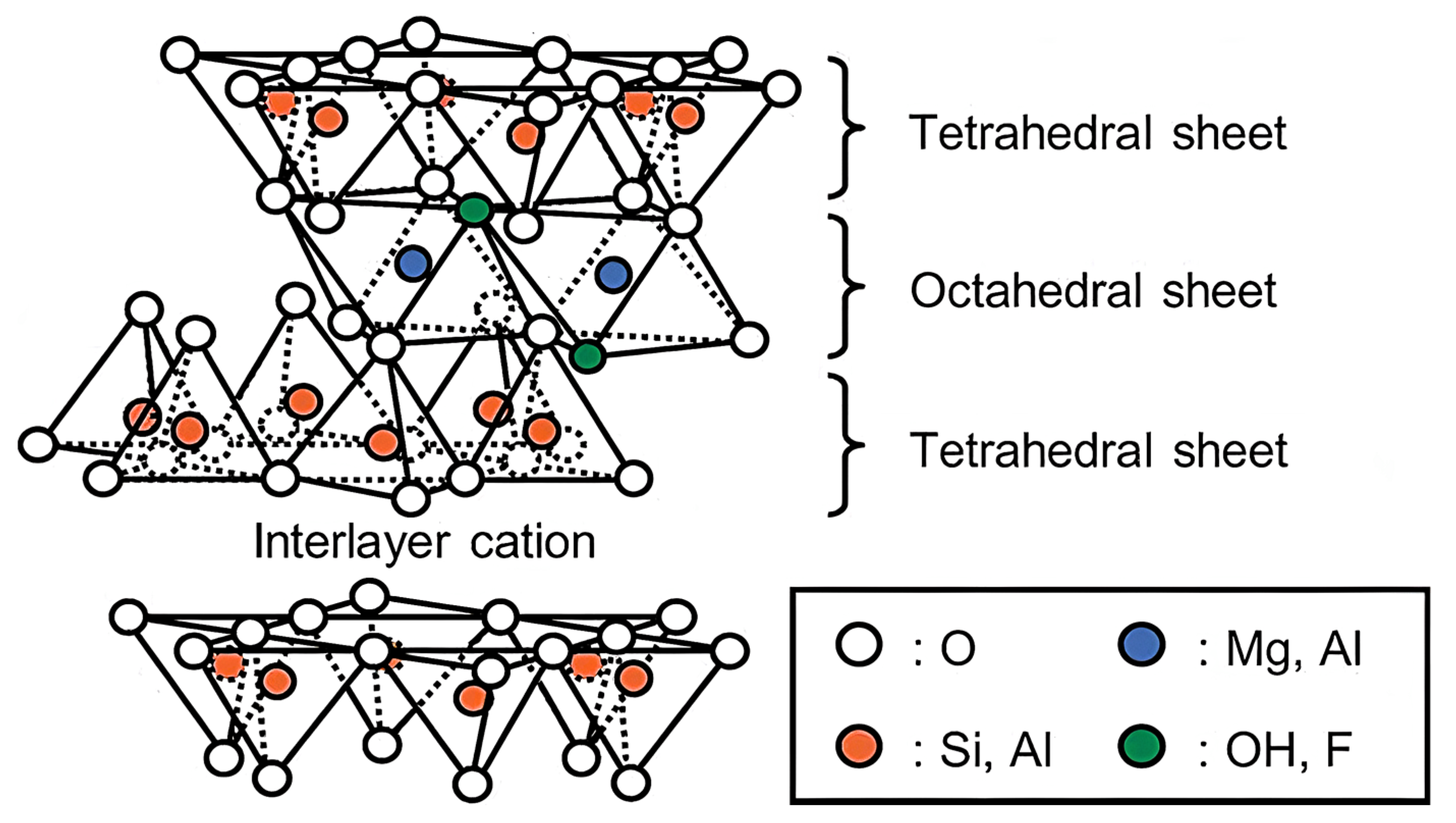 Ijms 23 10712 g007 550