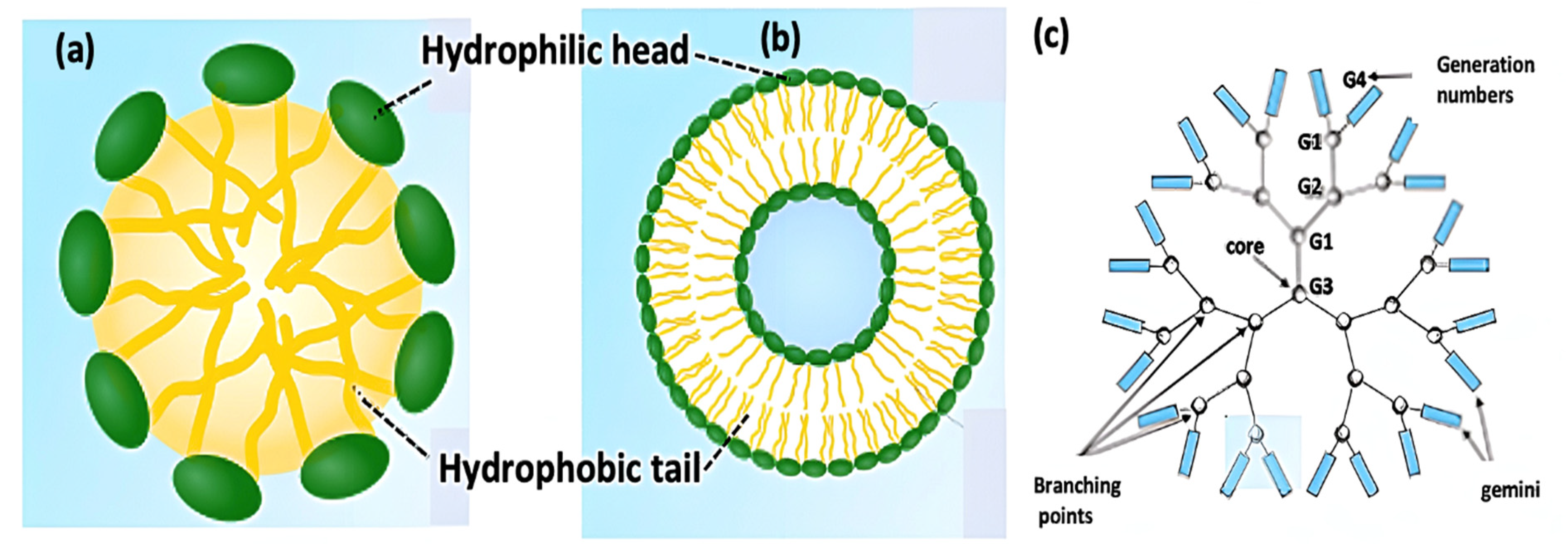 Ijms 23 10712 g008 550