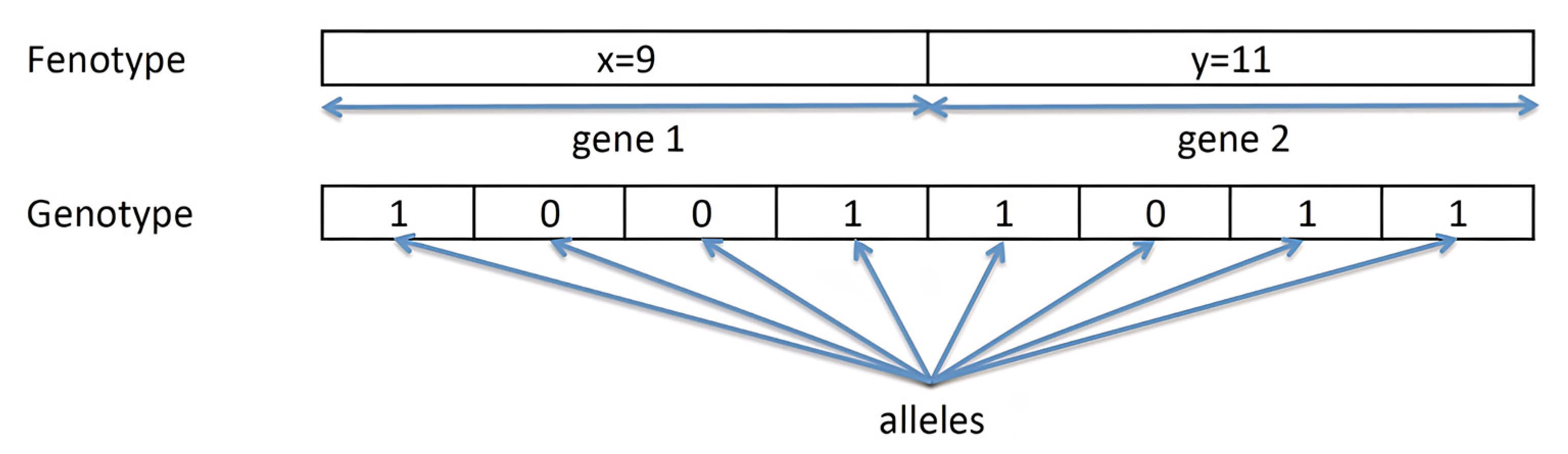 Ijms 23 10712 g017 550