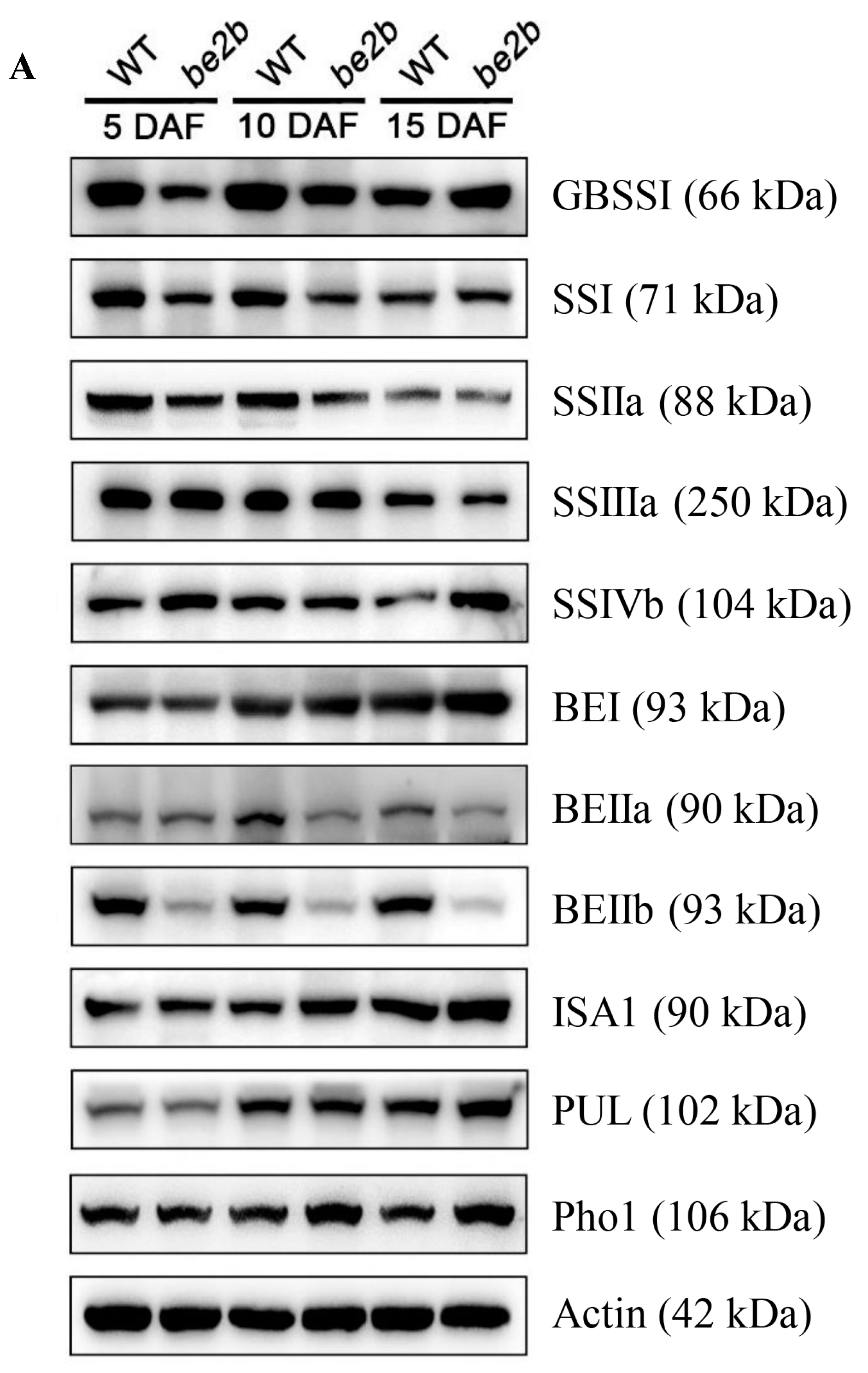 Ijms 23 10714 g001a 550