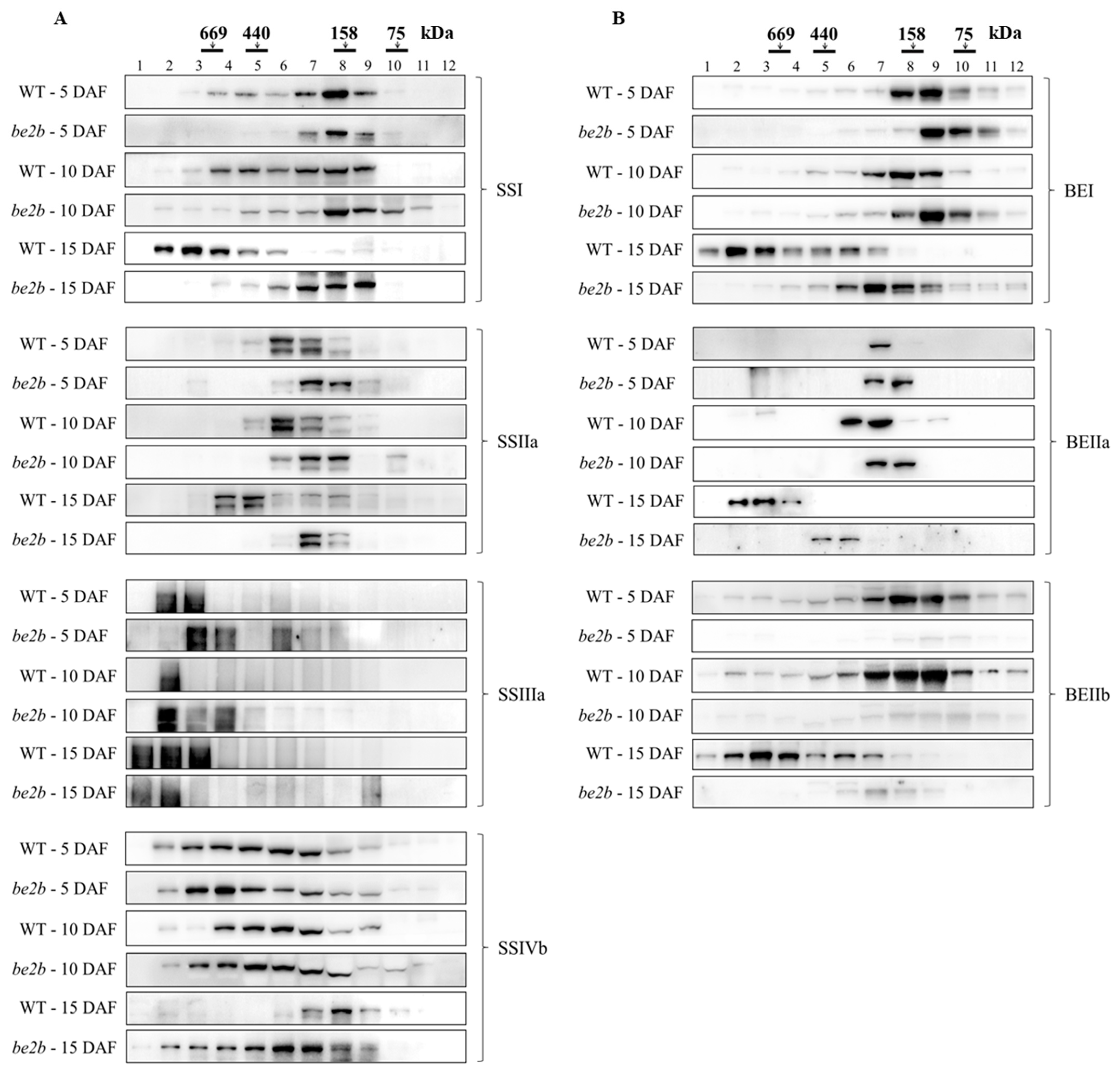 Ijms 23 10714 g002a 550