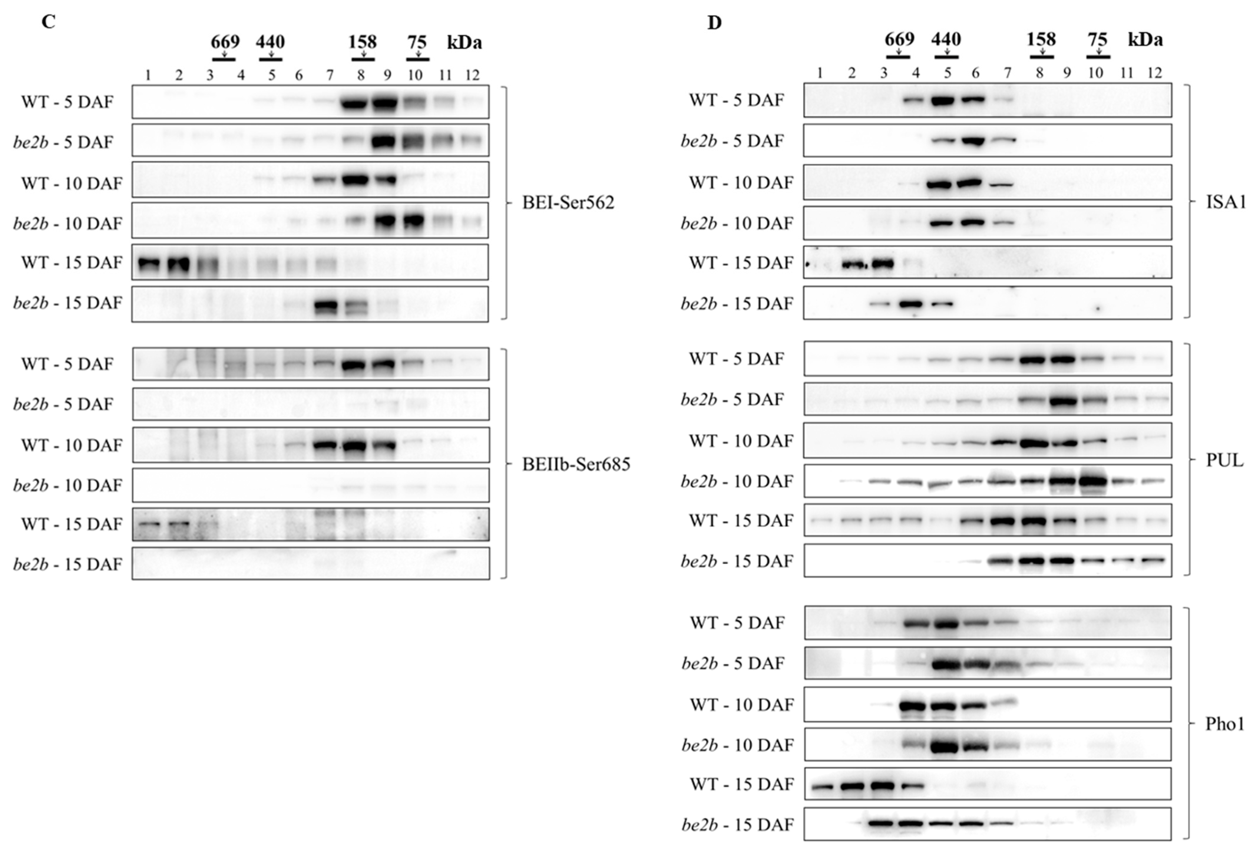 Ijms 23 10714 g002b 550