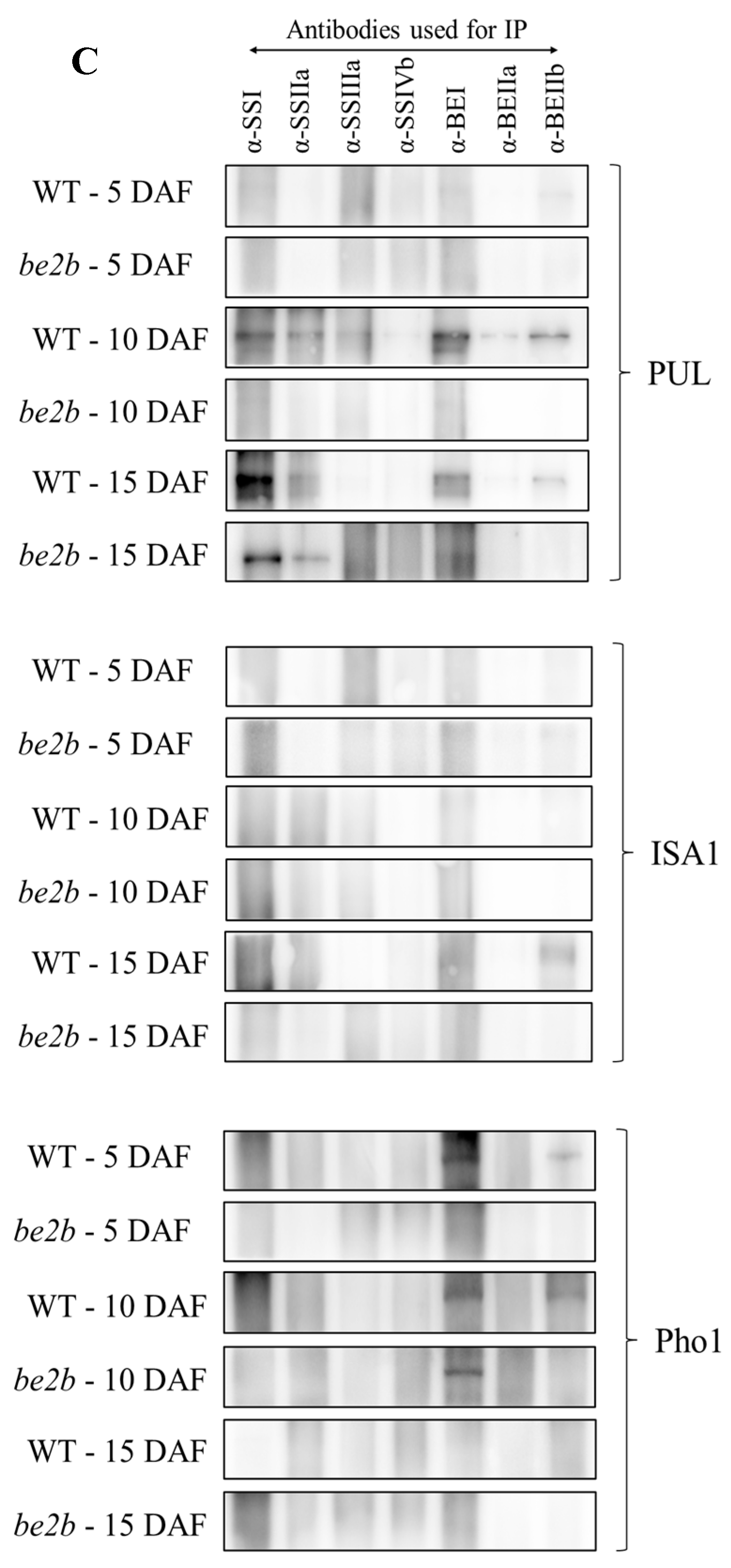 Ijms 23 10714 g003b 550