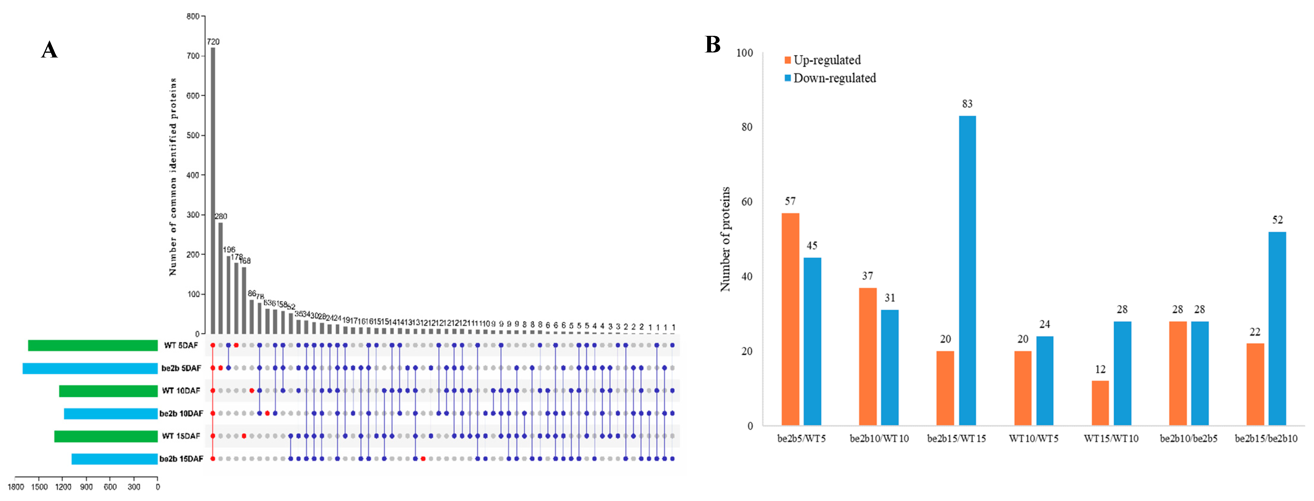 Ijms 23 10714 g004 550