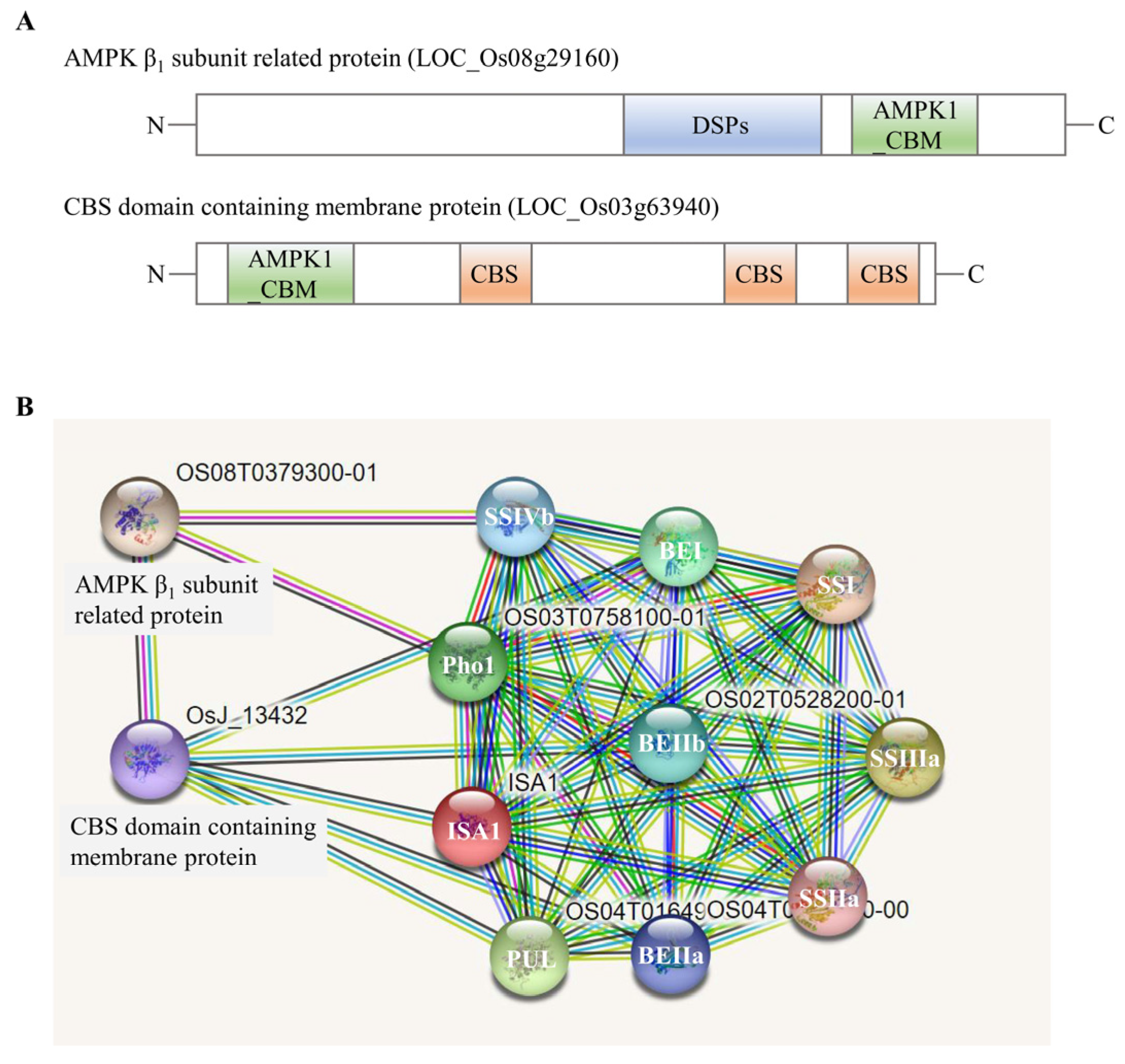 Ijms 23 10714 g006 550