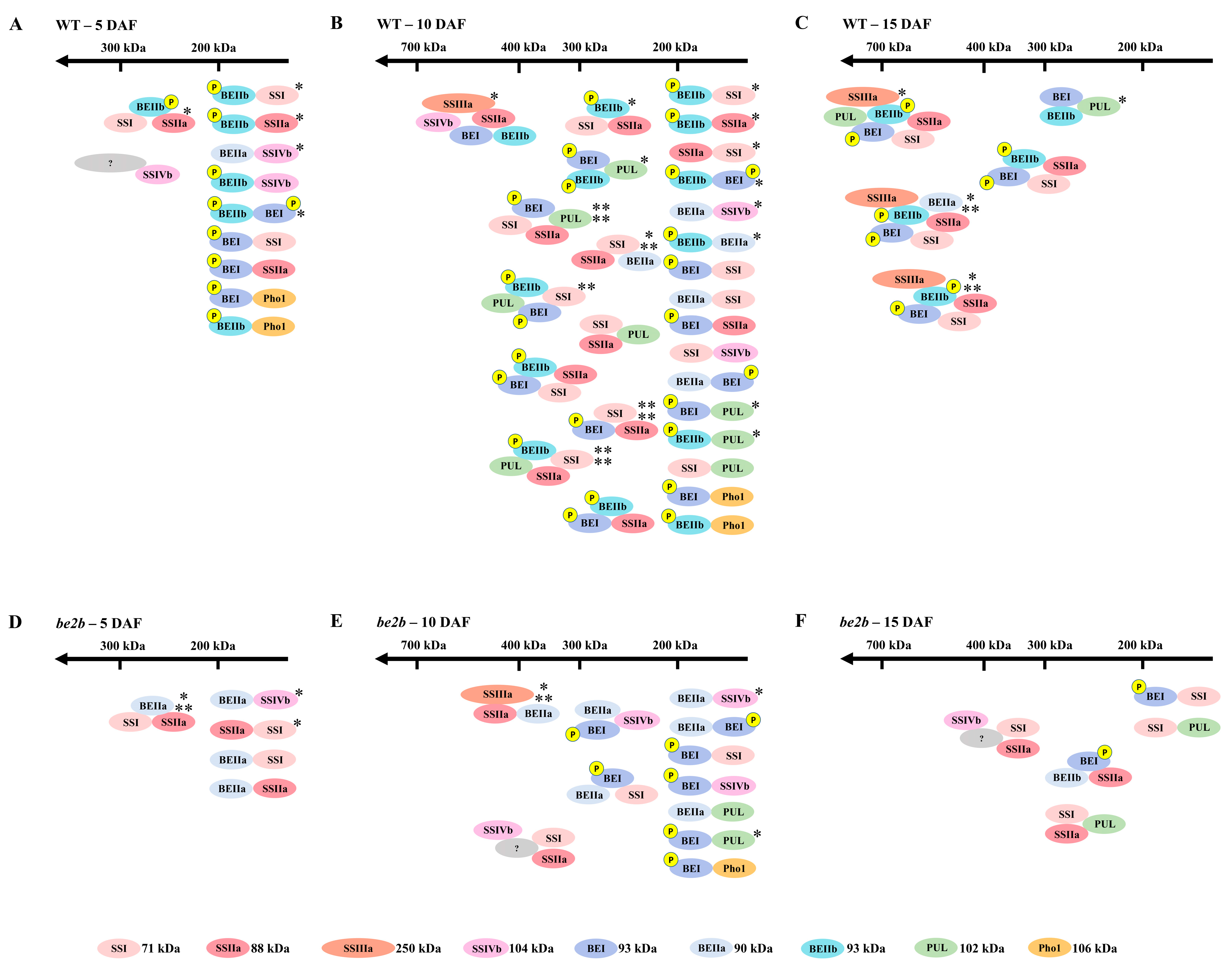 Ijms 23 10714 g007 550