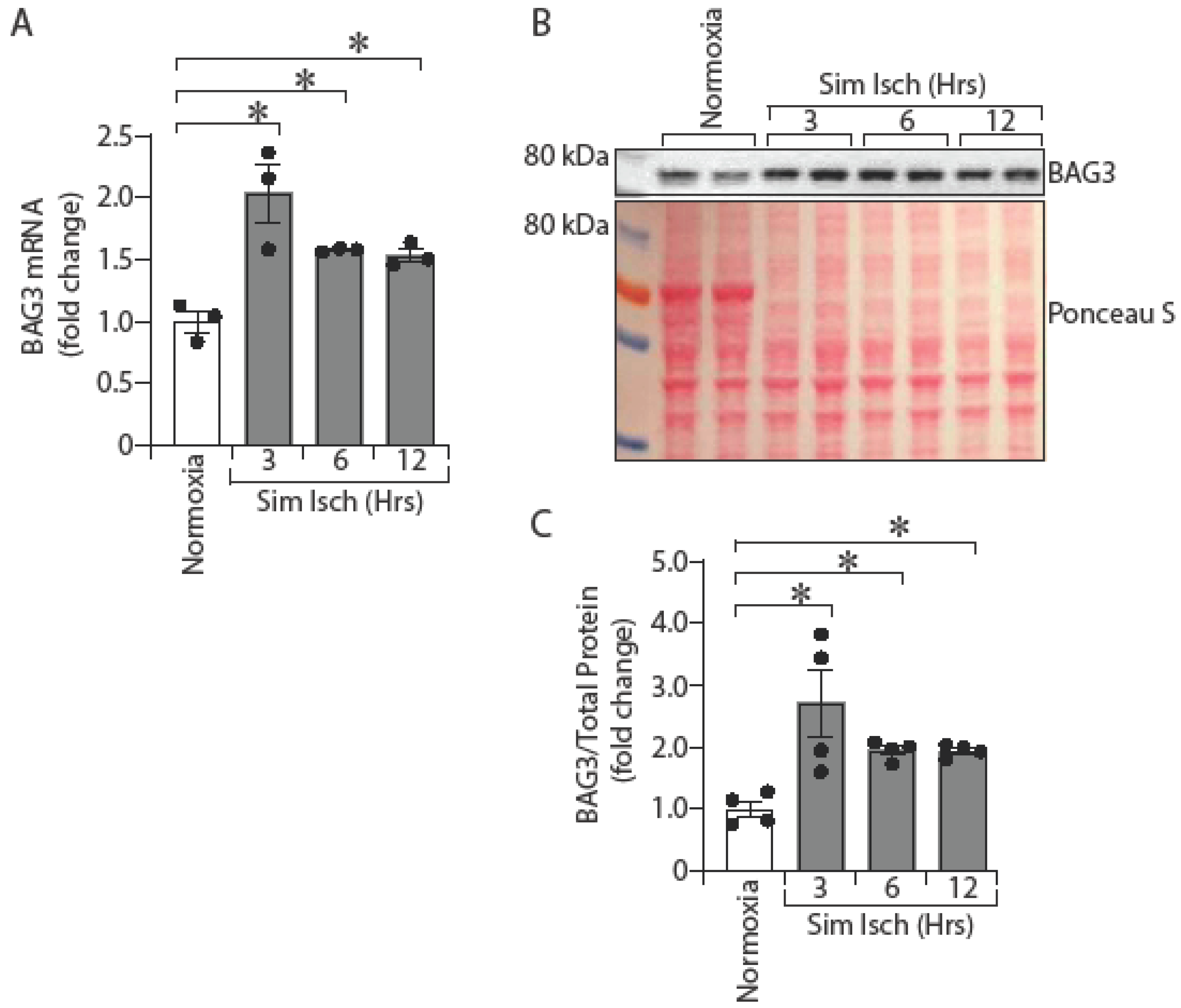 Ijms 23 10715 g001 550