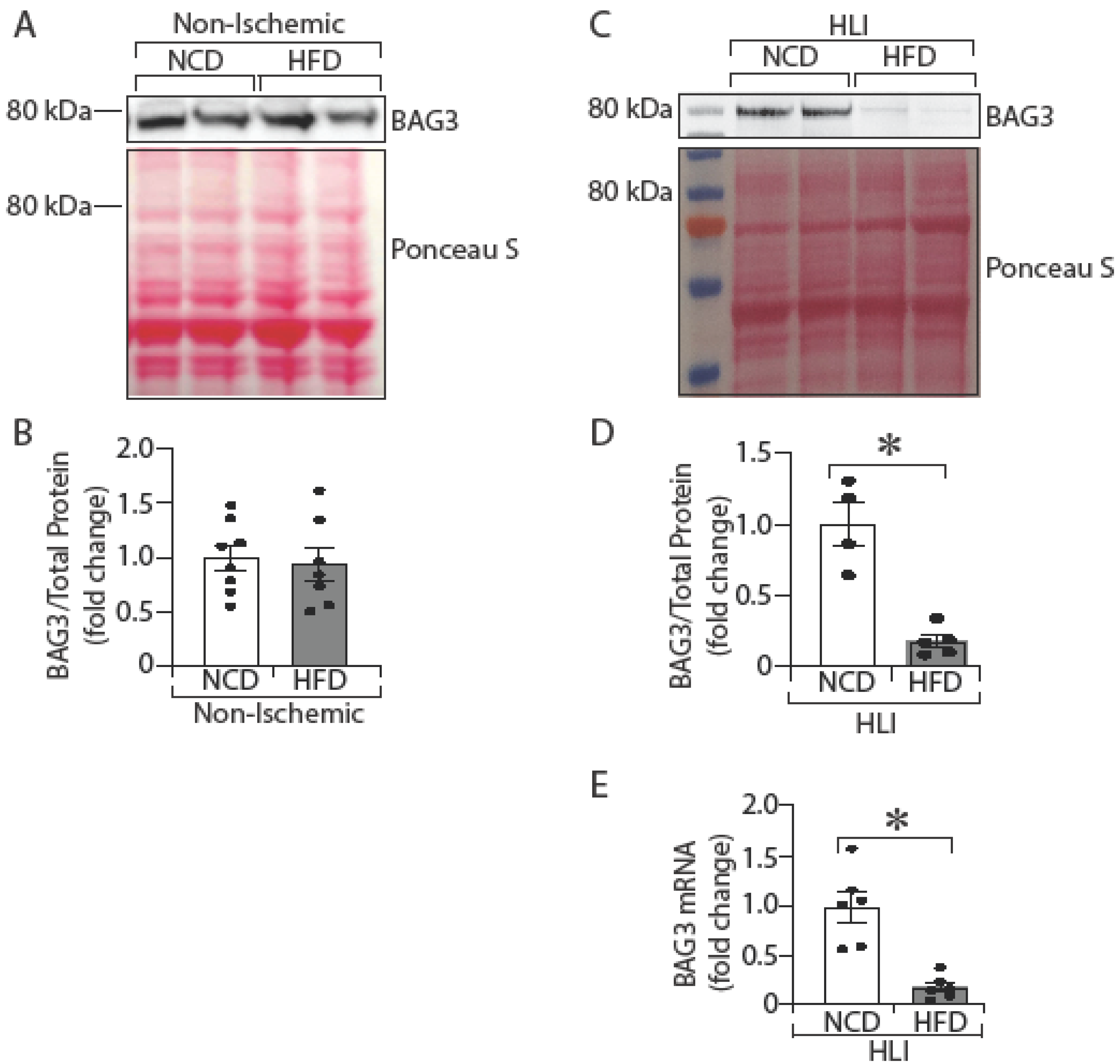 Ijms 23 10715 g002 550