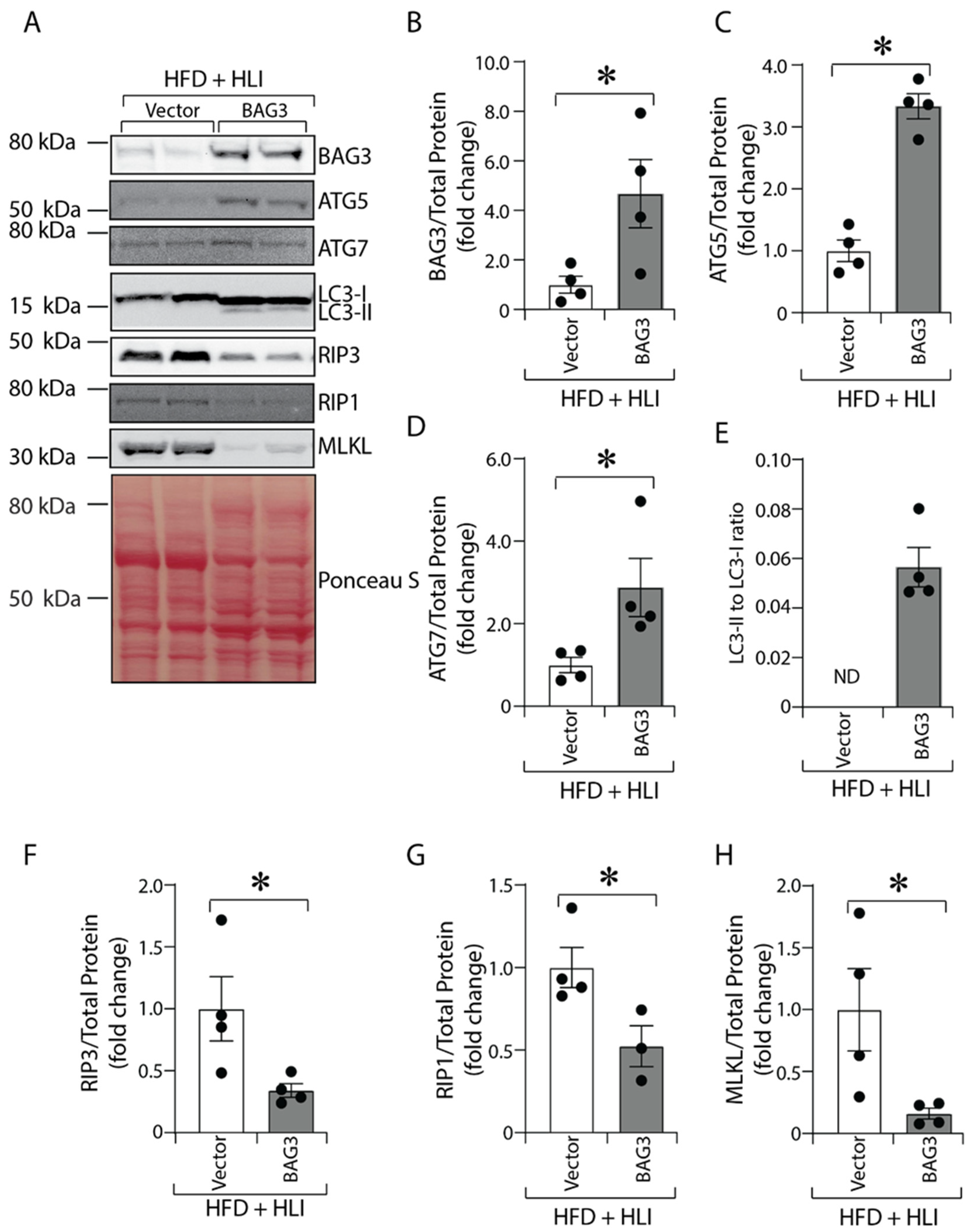 Ijms 23 10715 g005 550