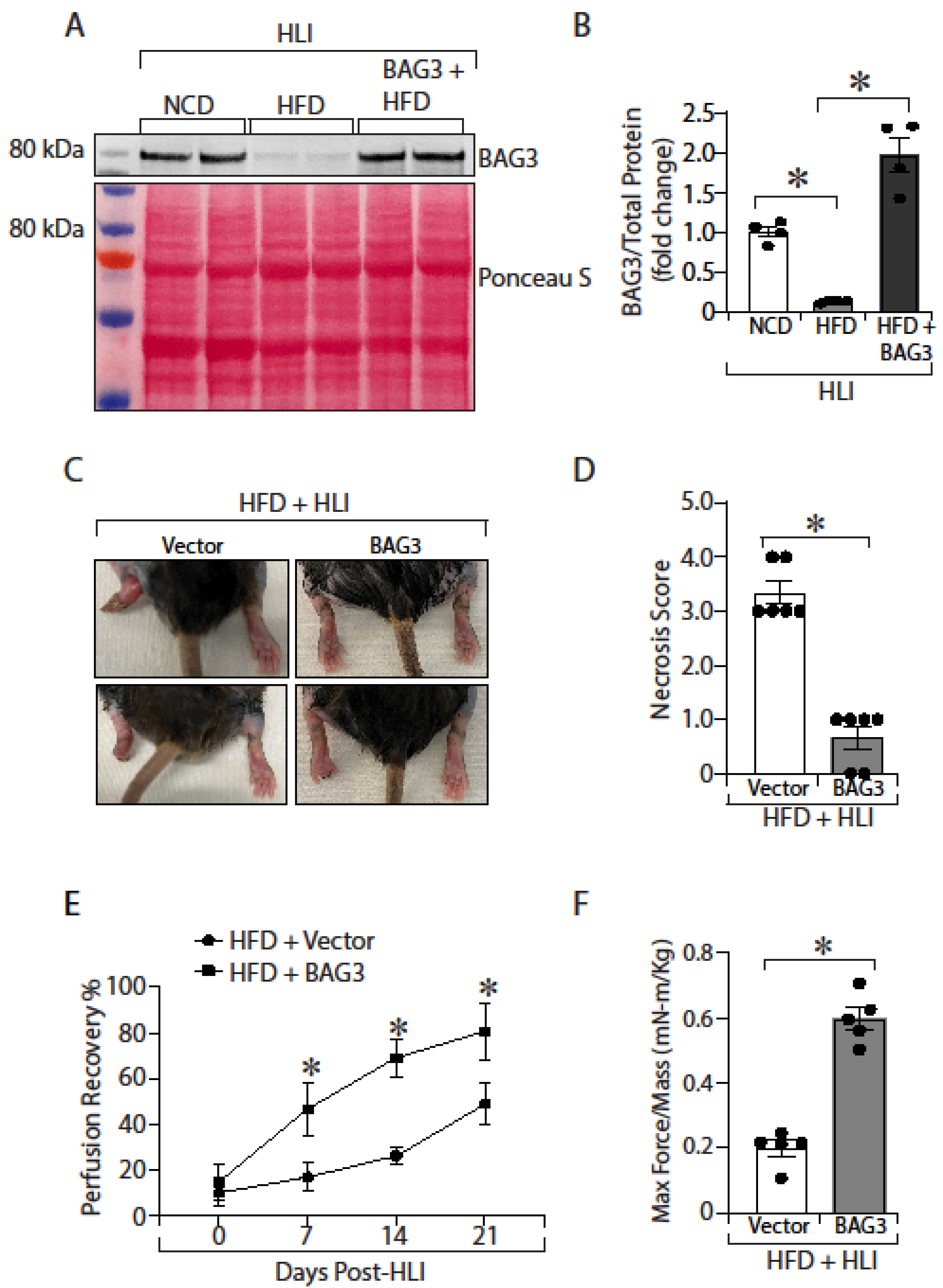 Ijms 23 10715 g006a 550