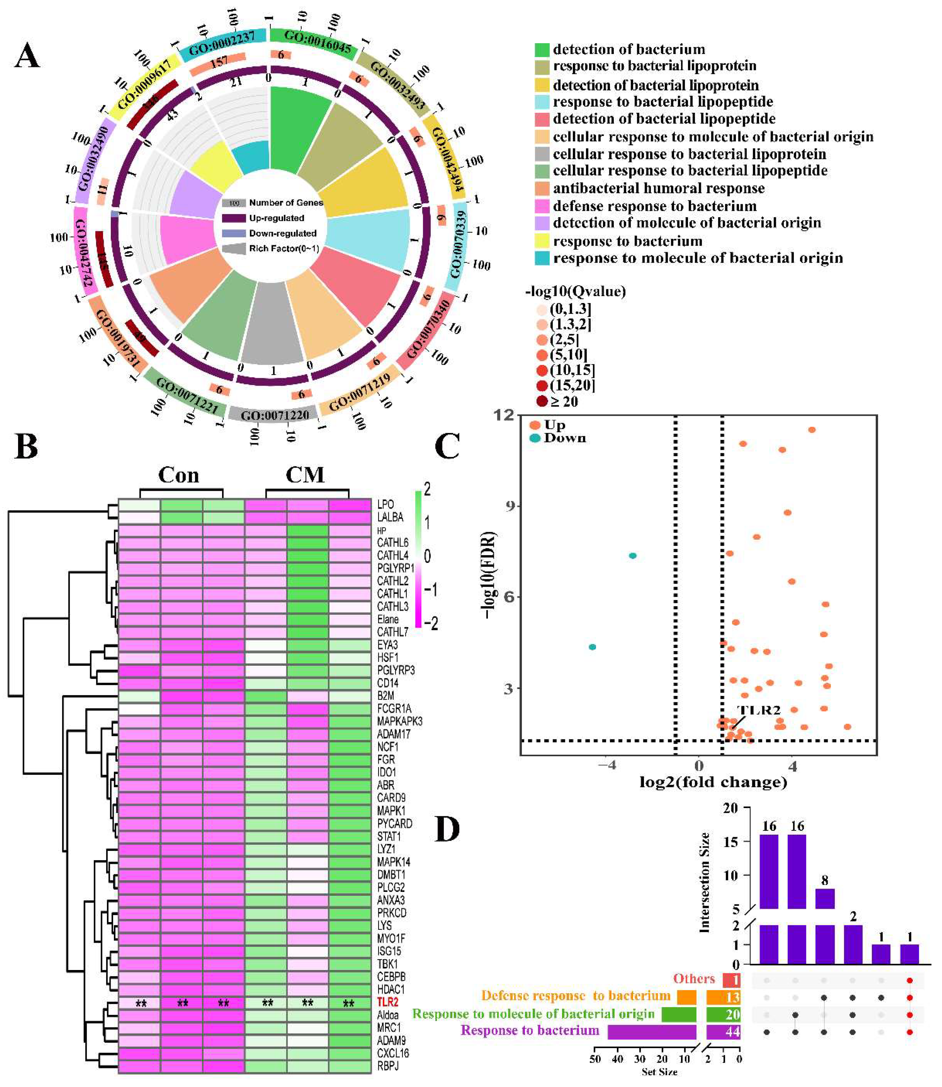 Ijms 23 10717 g001 Ijms 23 10717 g001