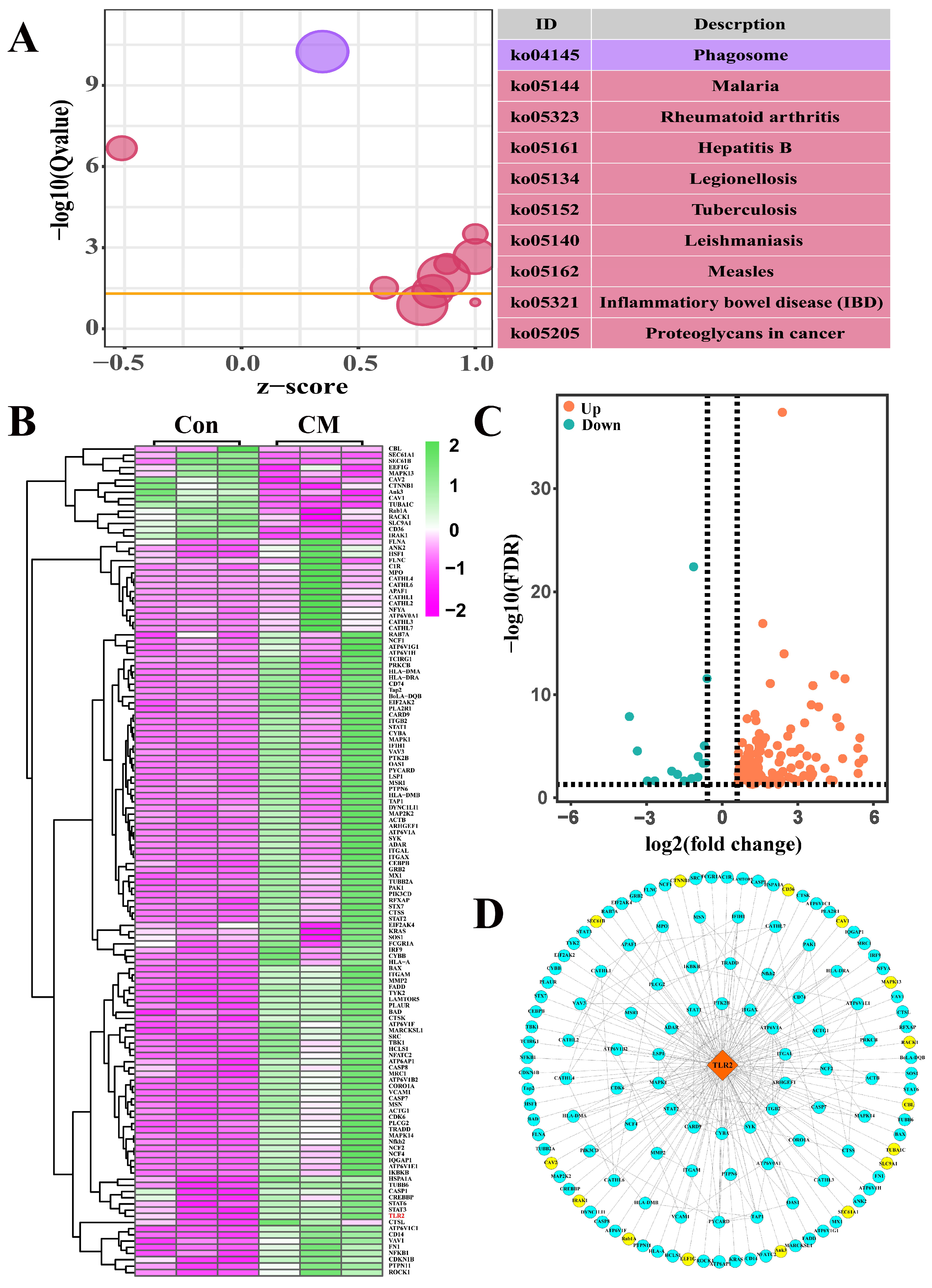 Ijms 23 10717 g002 Ijms 23 10717 g002