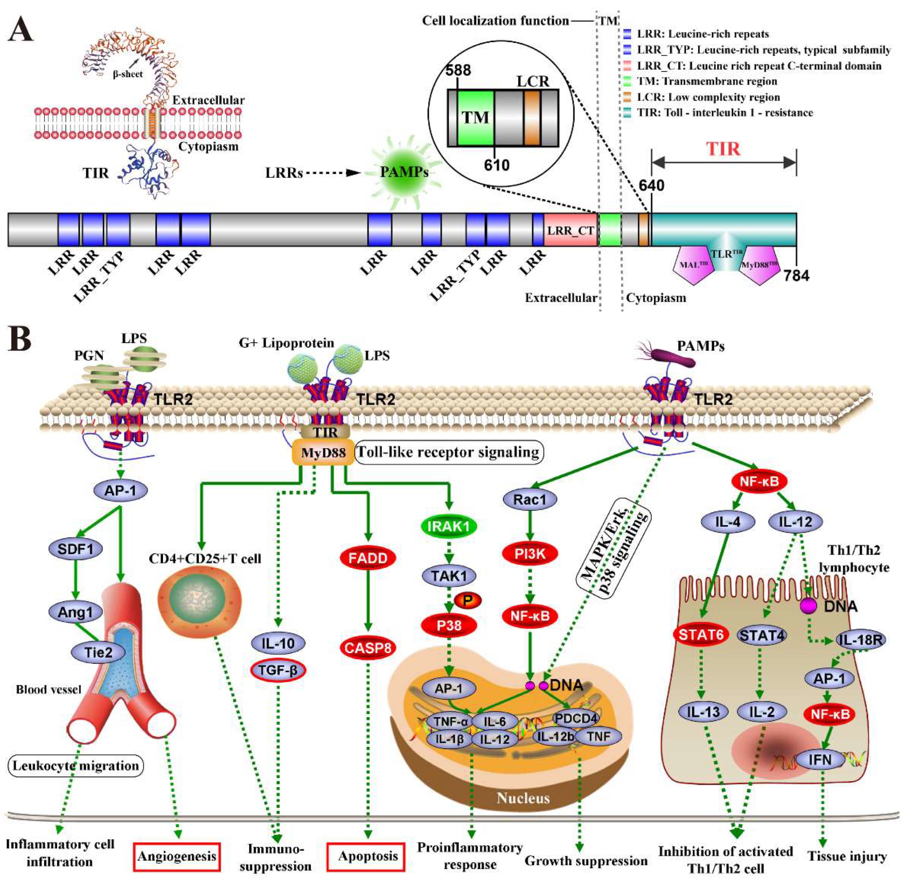 Ijms 23 10717 g003 Ijms 23 10717 g003