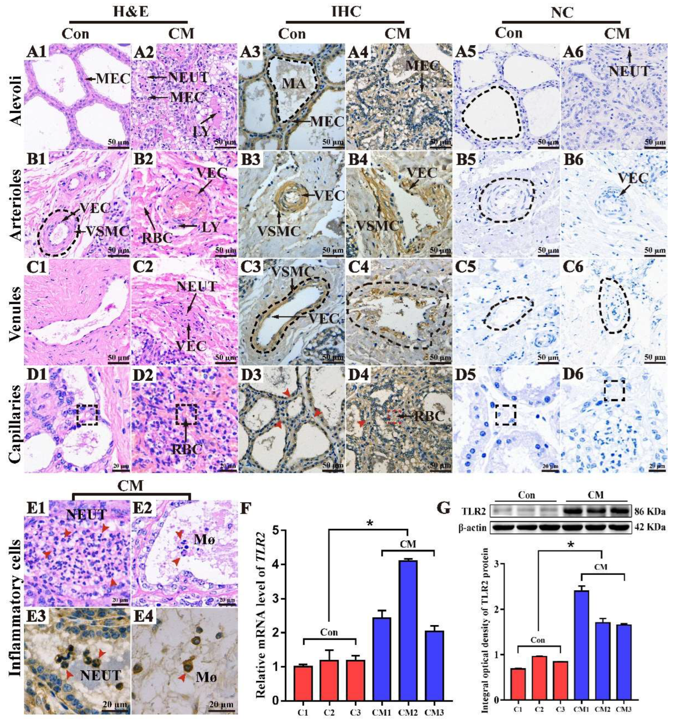 Ijms 23 10717 g004 Ijms 23 10717 g004