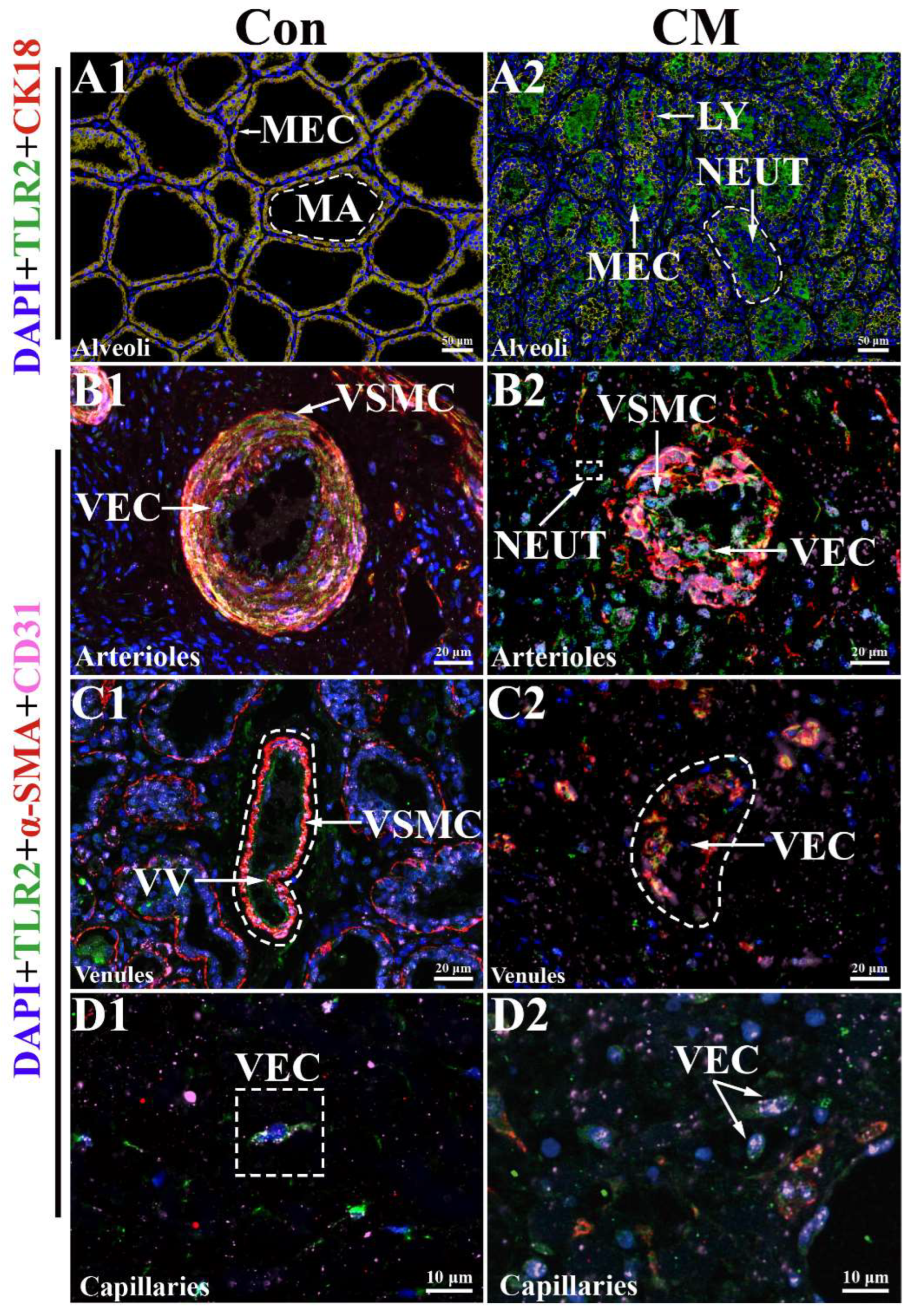 Ijms 23 10717 g005 Ijms 23 10717 g005