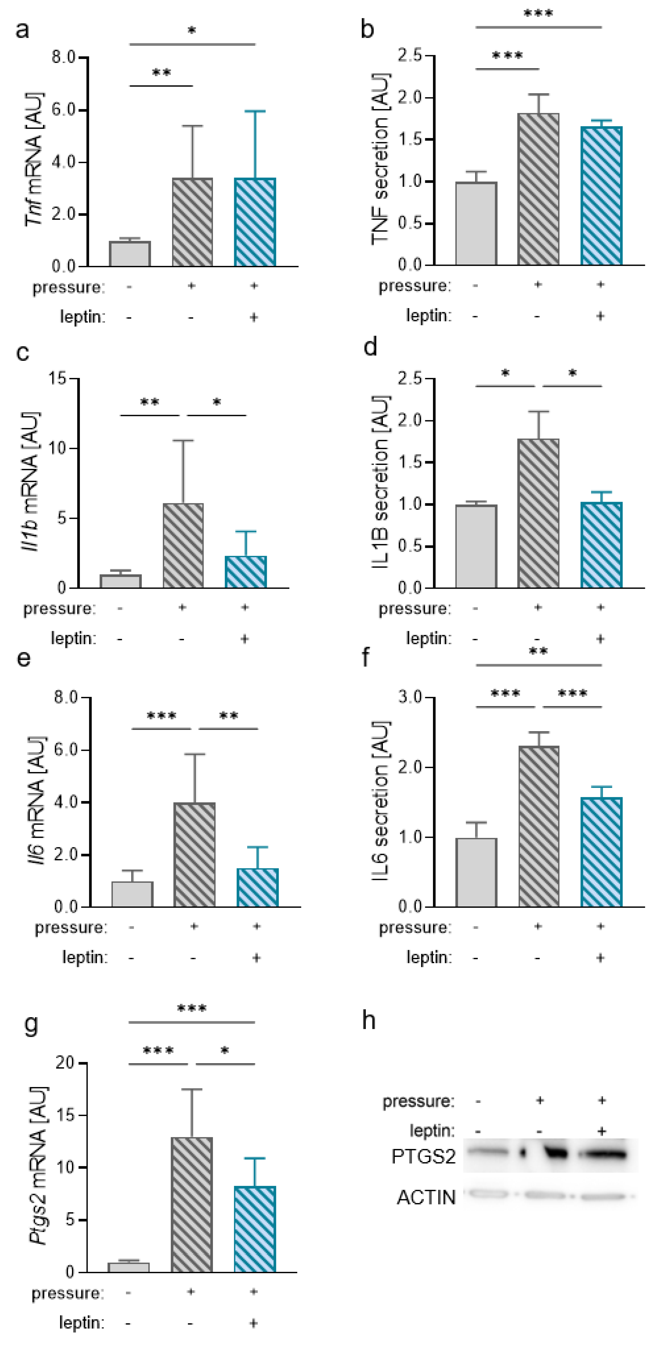 Ijms 23 10727 g004 550