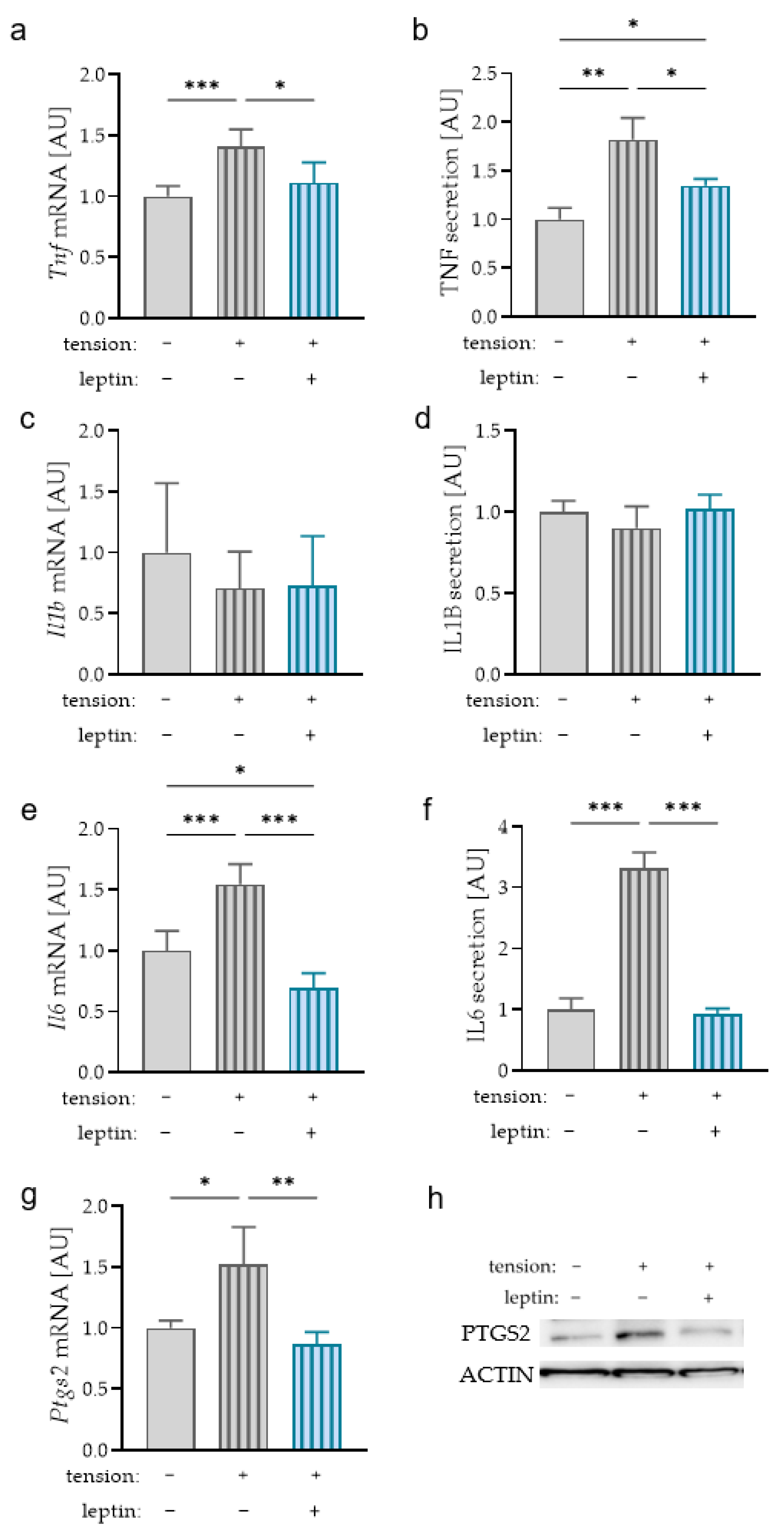 Ijms 23 10727 g005 550