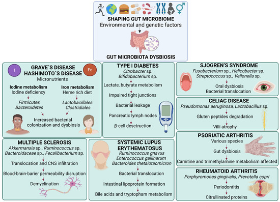 Gut Dysbiosis and Fecal Microbiota Transplantation in