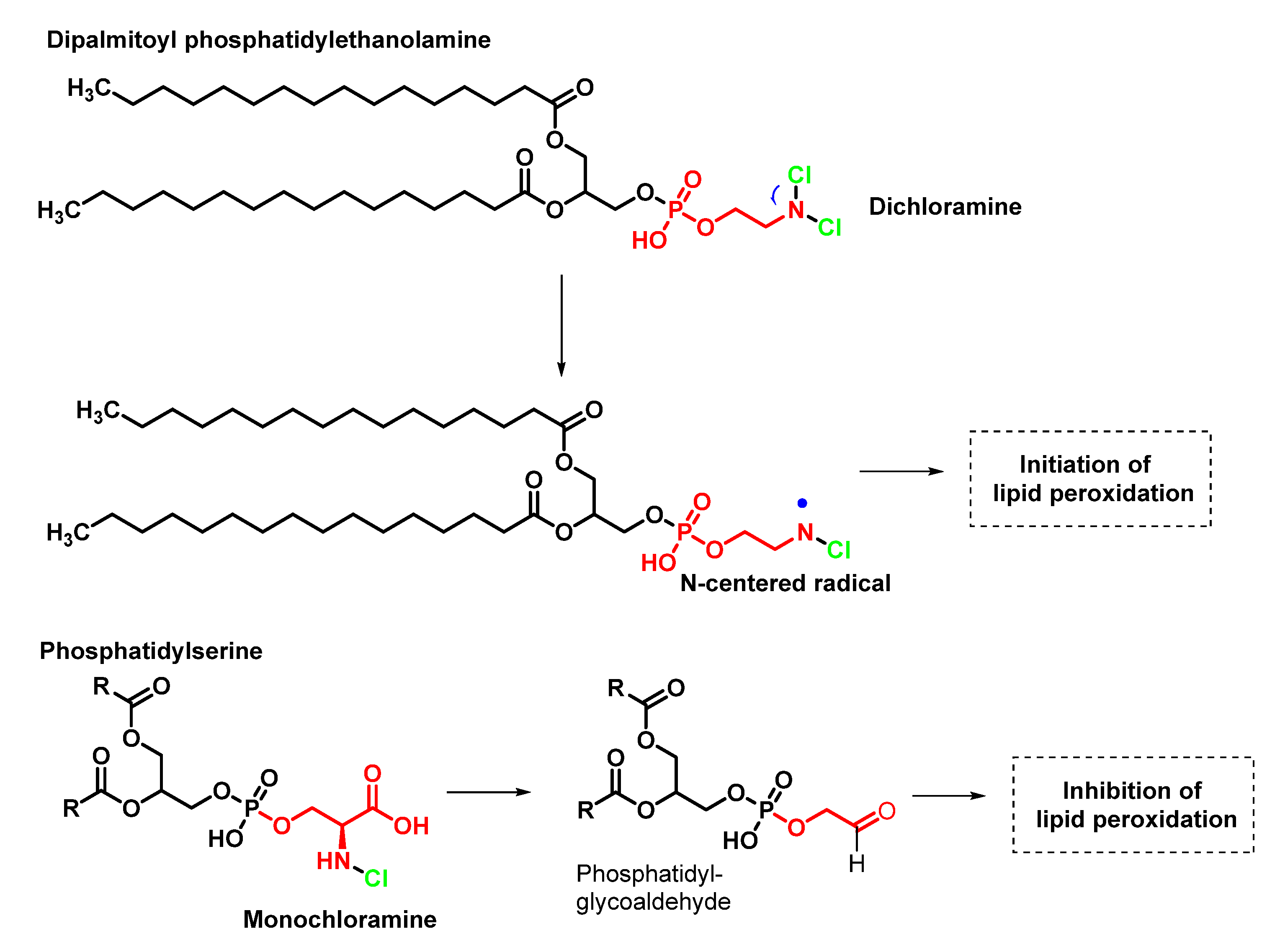 Ijms 23 10735 g017 Ijms 23 10735 g017