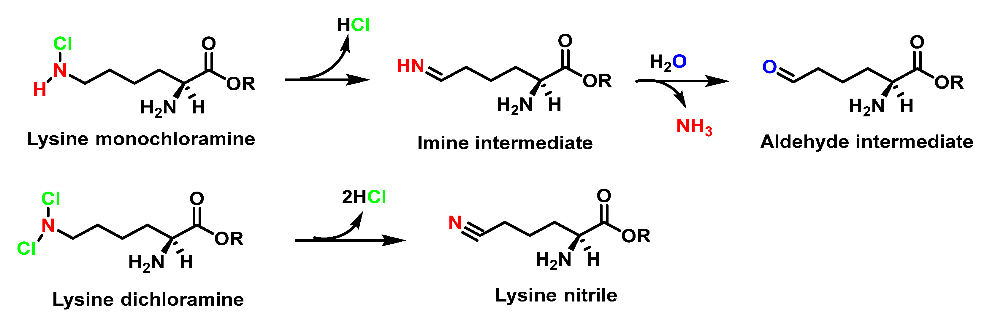 Ijms 23 10735 g039 Ijms 23 10735 g039