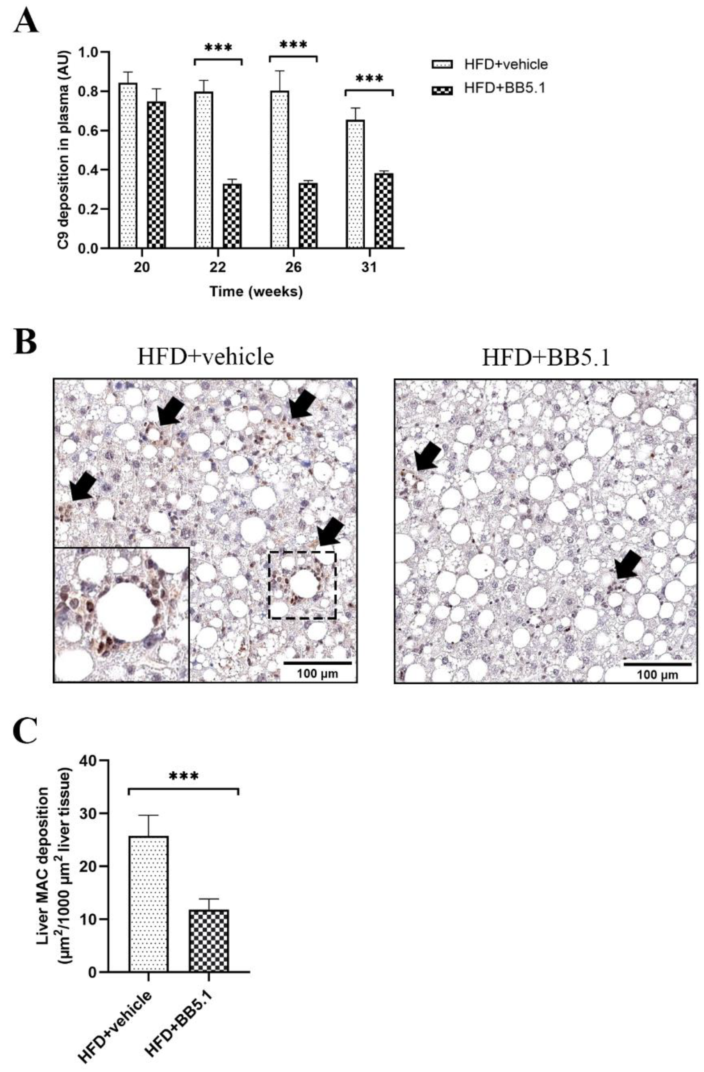 Ijms 23 10736 g002 Ijms 23 10736 g002