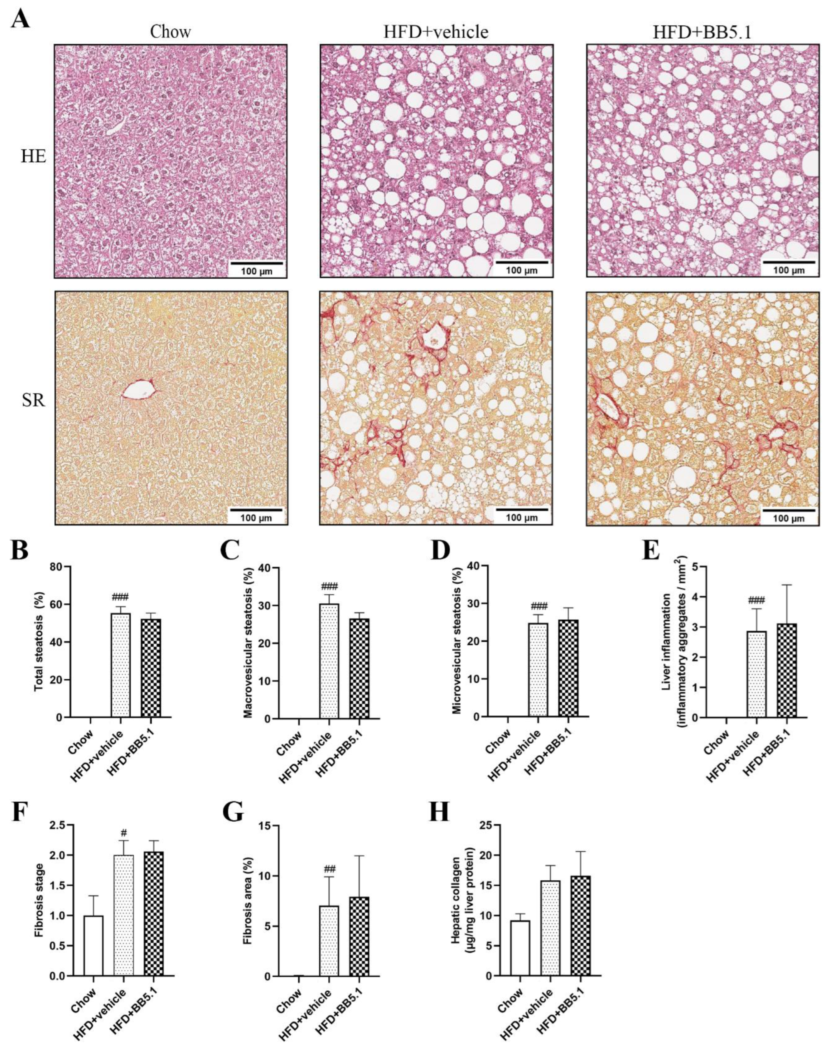 Ijms 23 10736 g004 Ijms 23 10736 g004