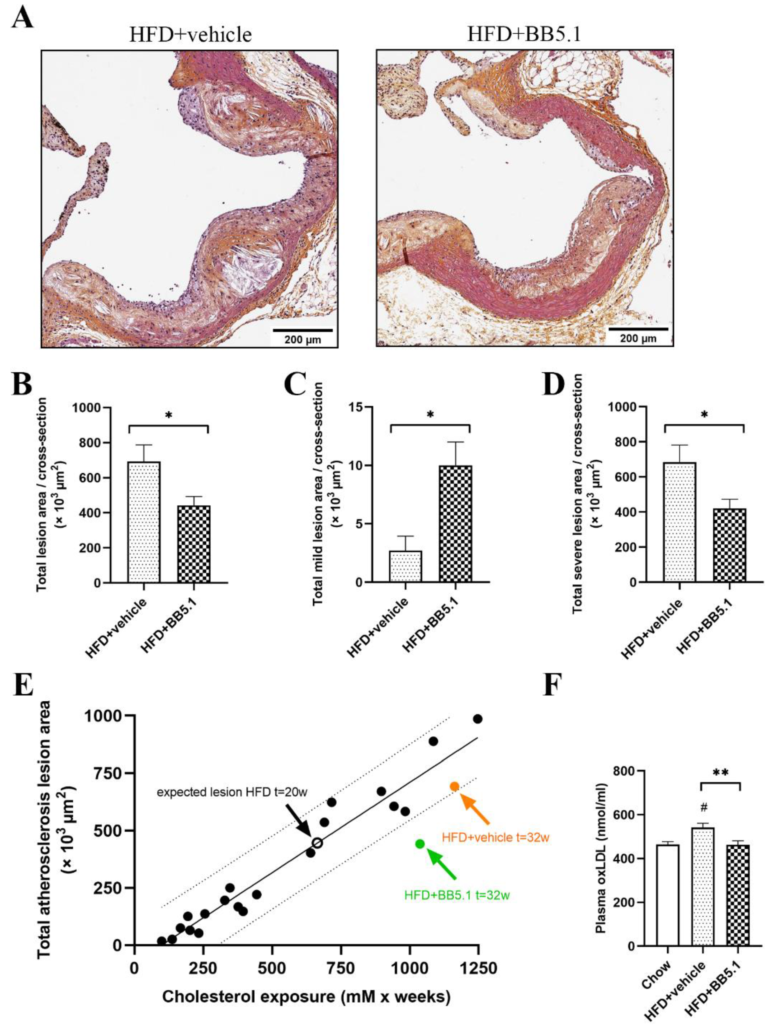 Ijms 23 10736 g006 Ijms 23 10736 g006