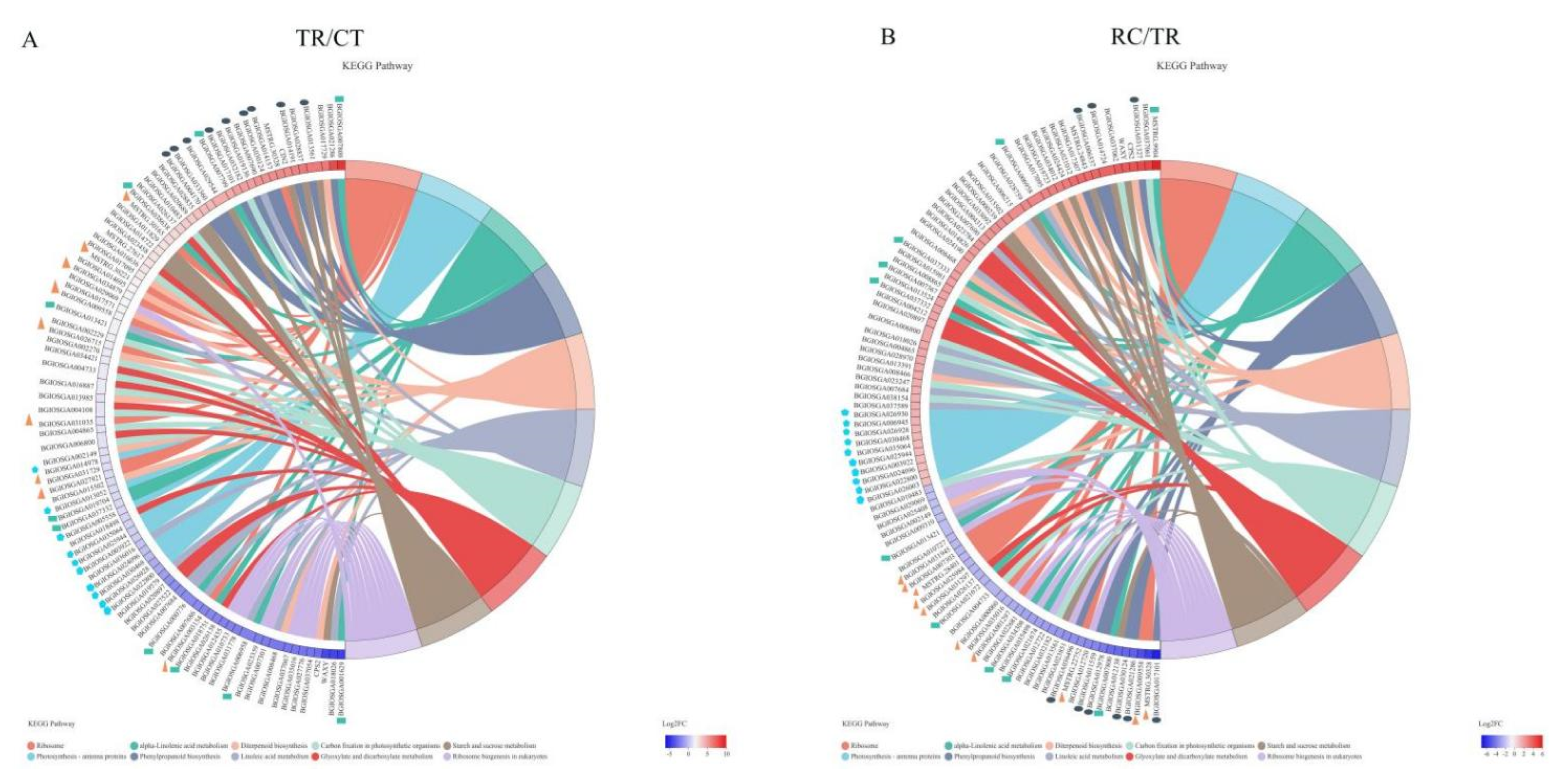 Ijms 23 10739 g005 Ijms 23 10739 g005