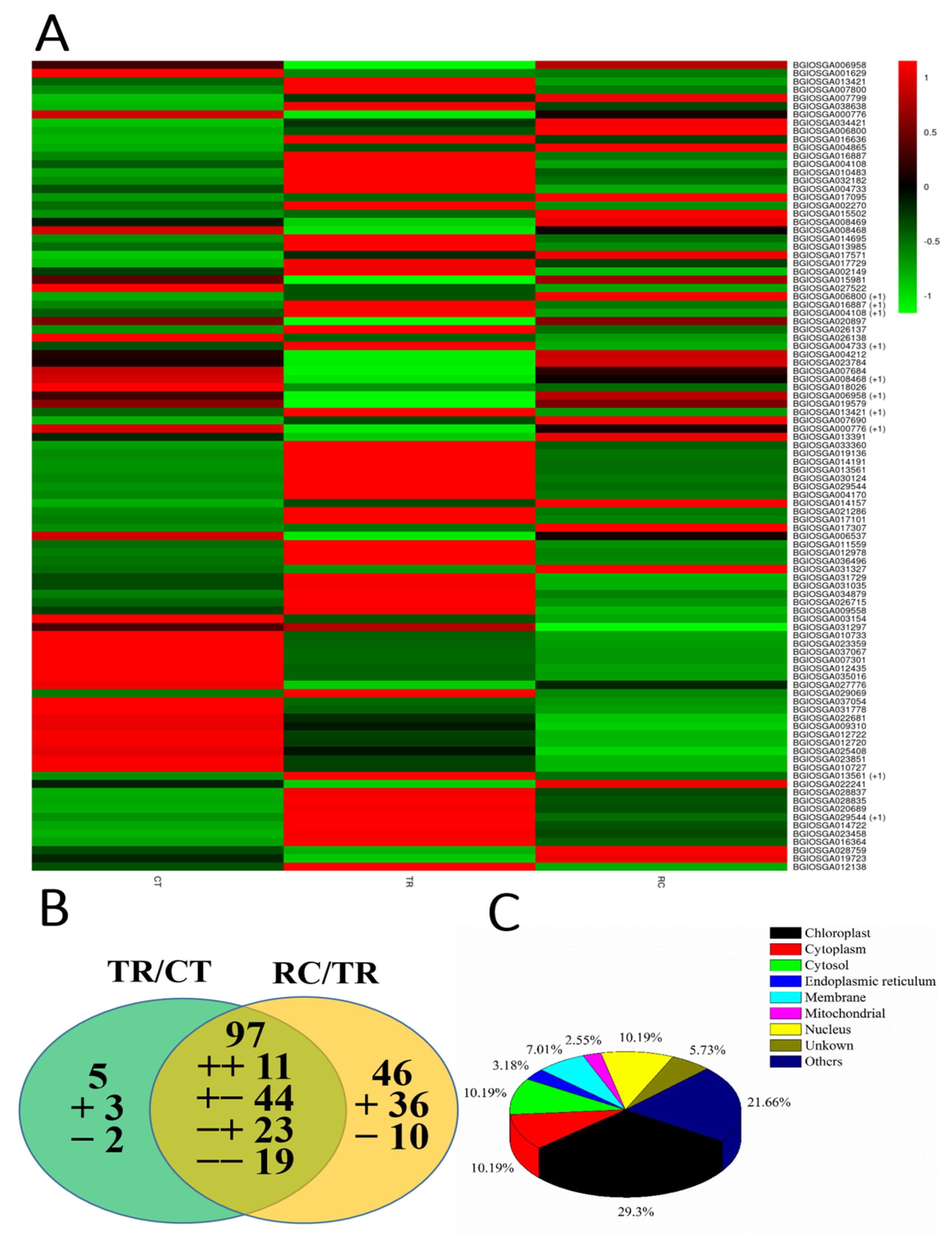 Ijms 23 10739 g007 Ijms 23 10739 g007