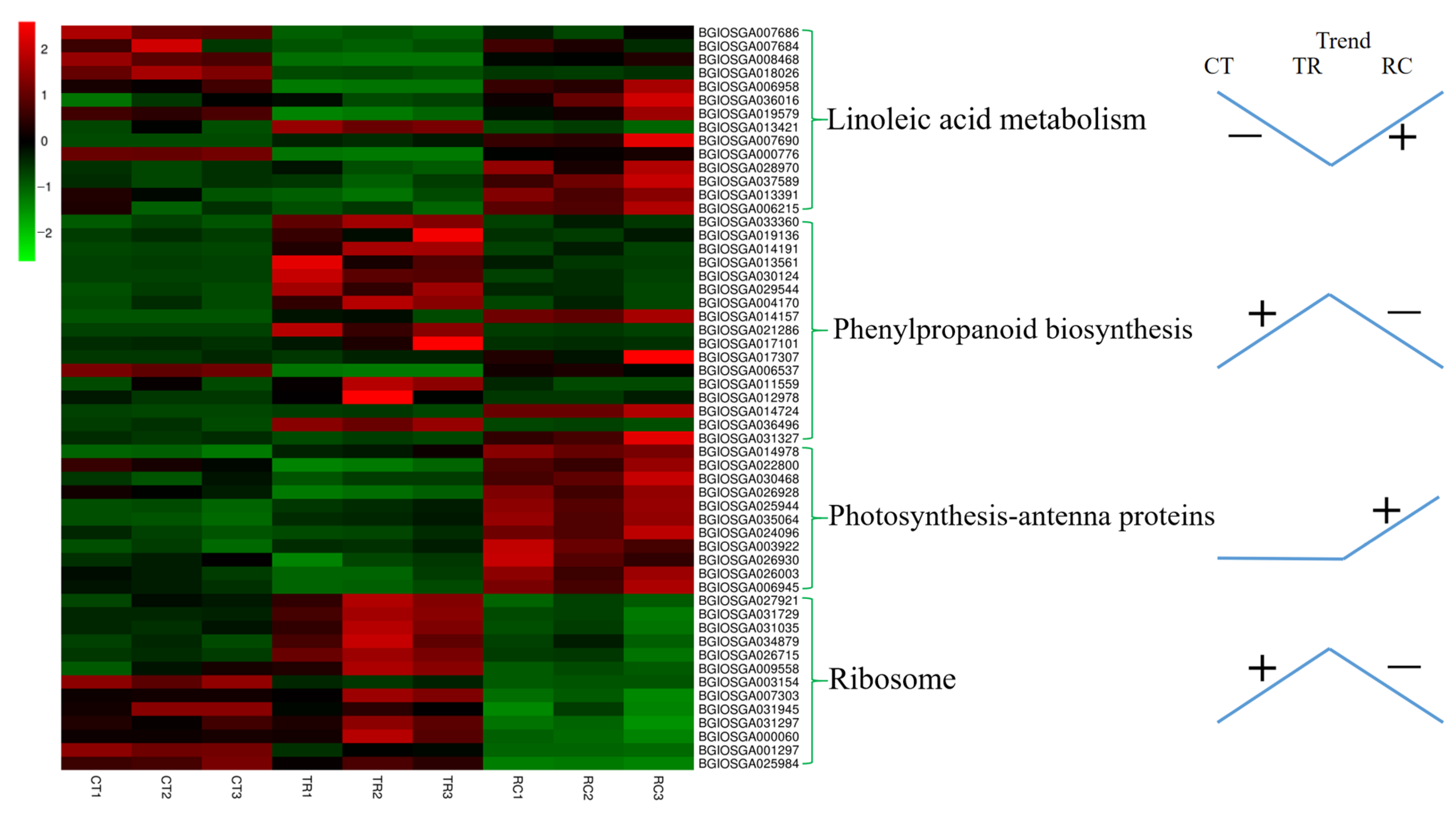 Ijms 23 10739 g008 Ijms 23 10739 g008