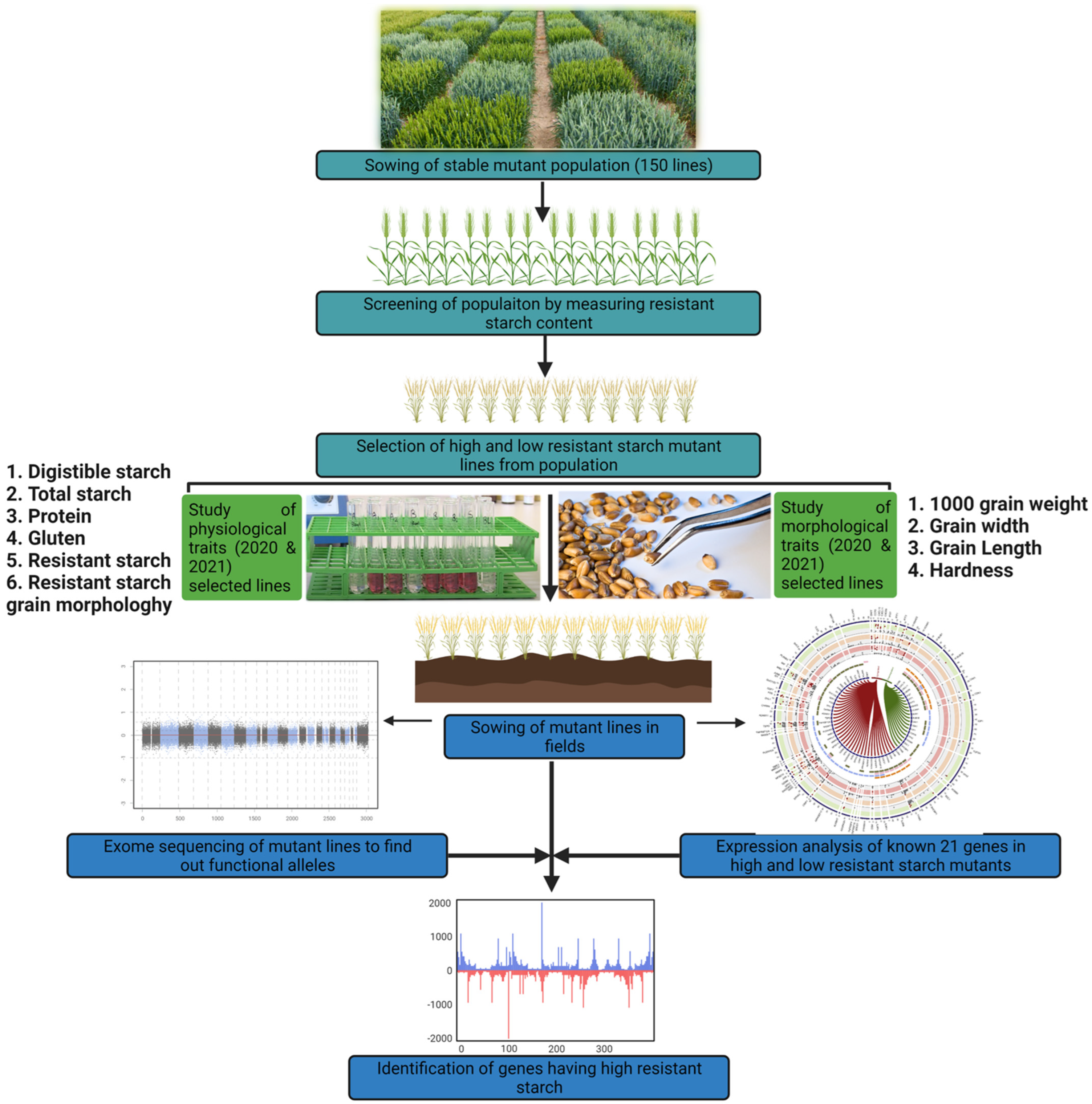 Ijms 23 10741 g001 550