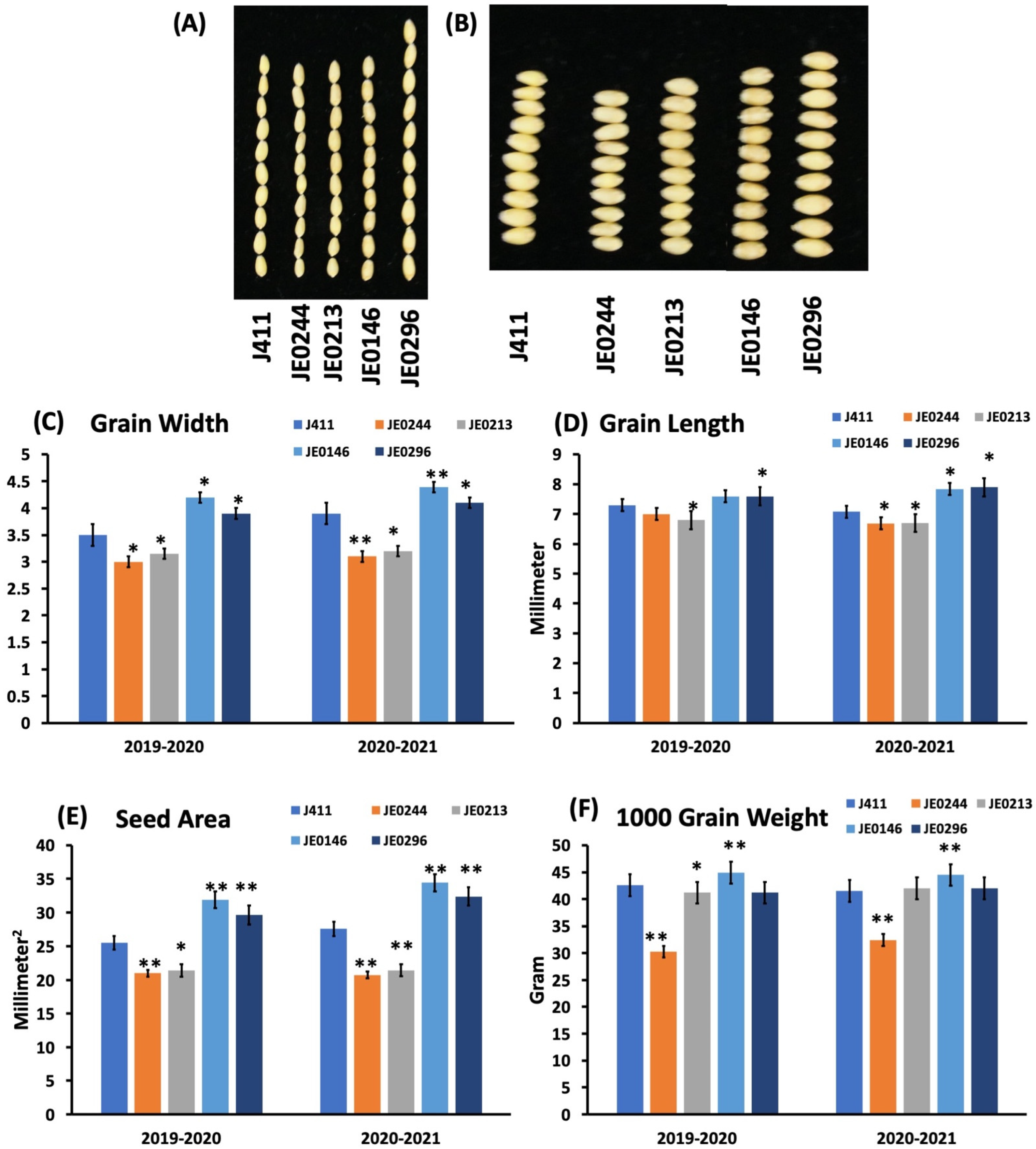 Ijms 23 10741 g003 550