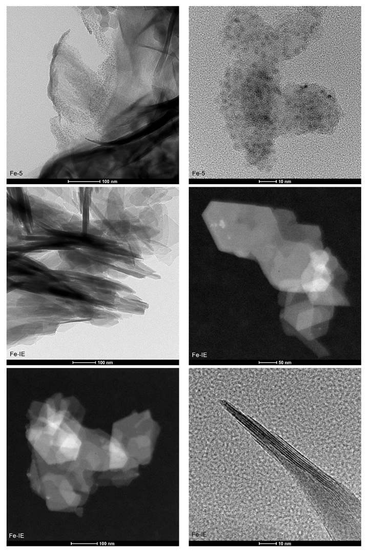 Ijms 23 10754 g007c Ijms 23 10754 g007c