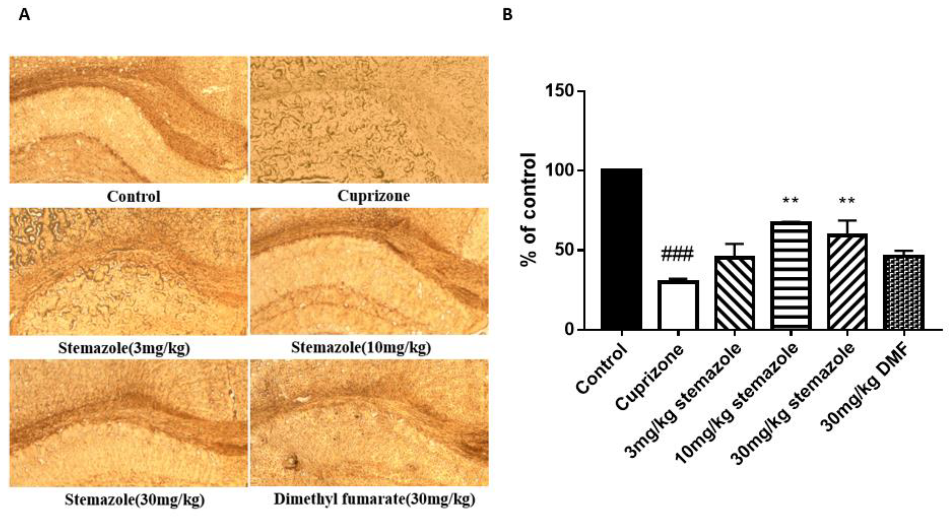 Ijms 23 10756 g006 550